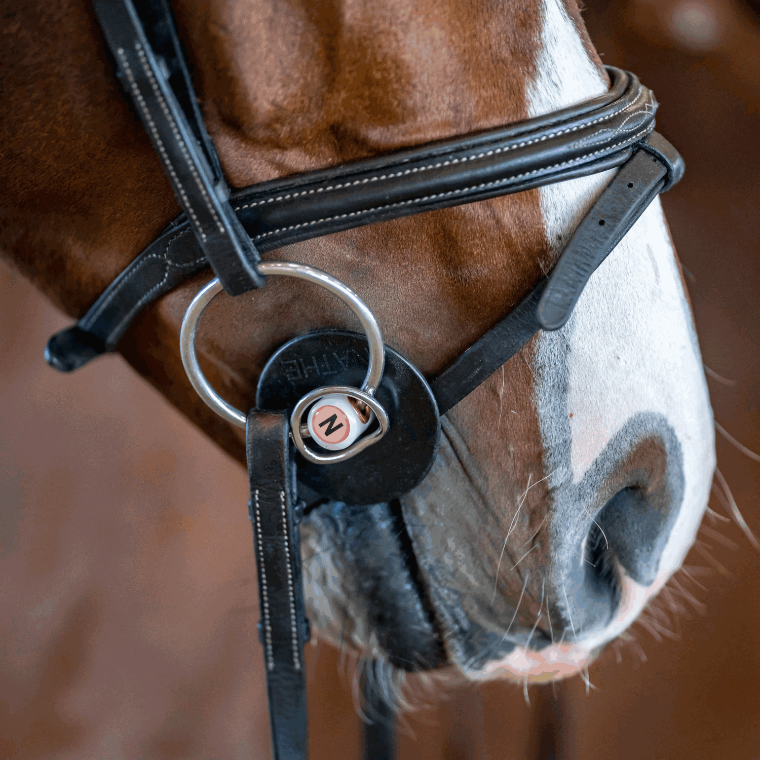 Nathe Standardgebiss 20 mm mit zusätzlichem kleinen Ring | 40871_03.png | 1700896691