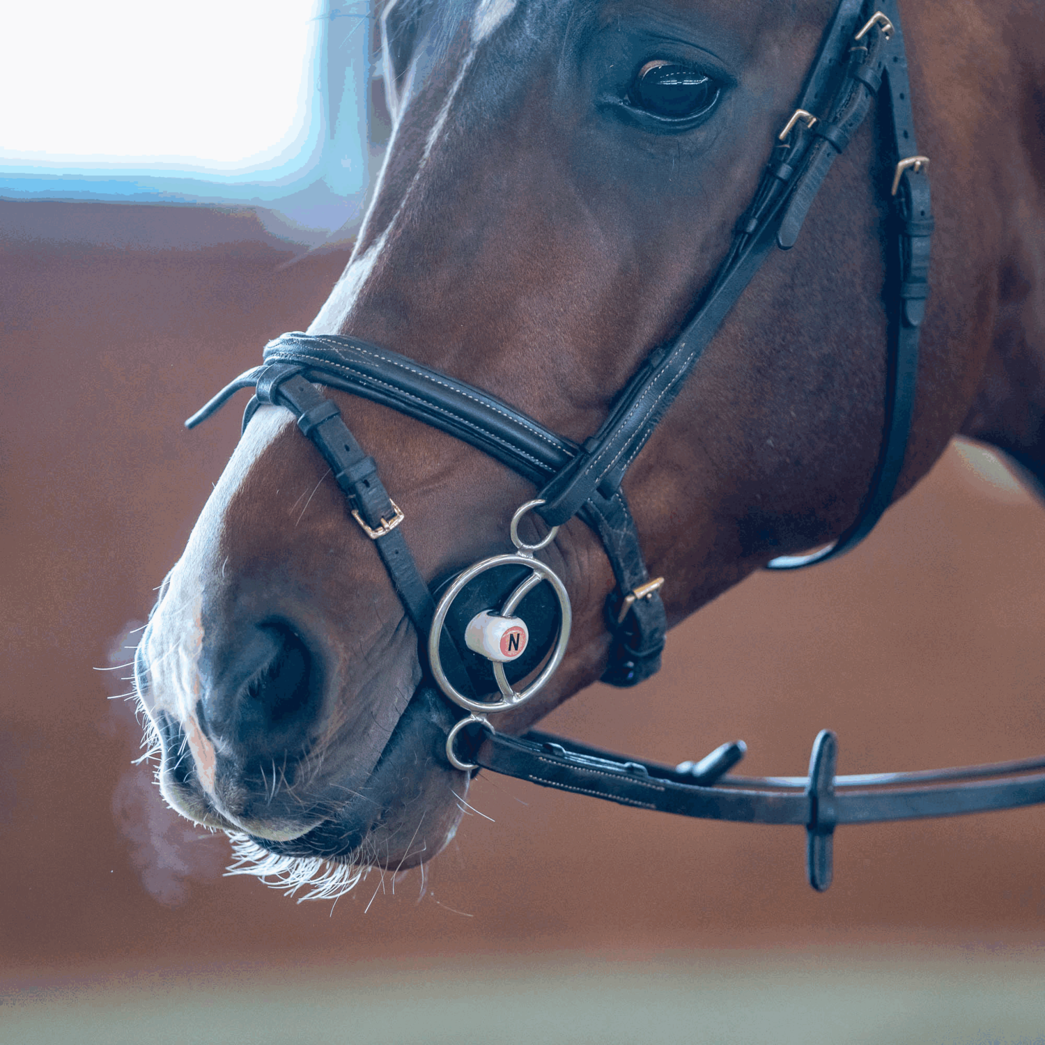 Nathe 3-Ring Gebiss mit Gleitsteg 20 mm mit biegsamer Stange | 41290-03.png | 1700896716