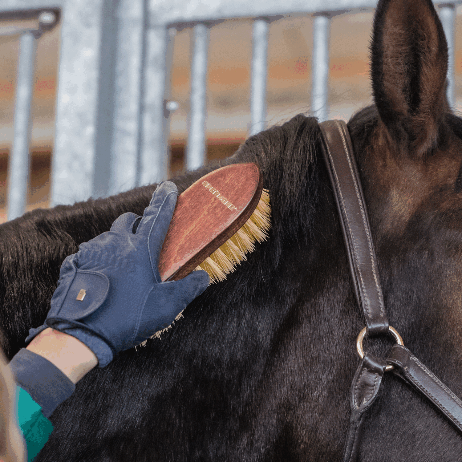 Wurzelbürste Perlon Borsten