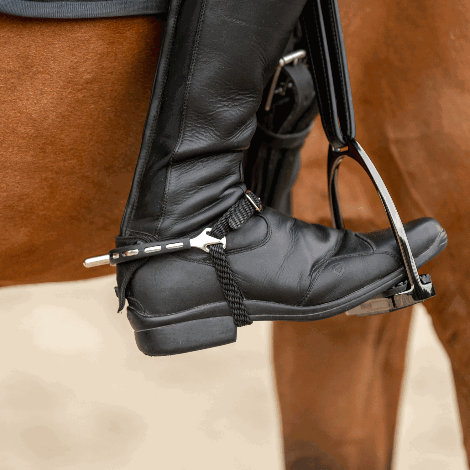 Ultra fit EXTRA GRIP Sporen - Edelstahl rostfrei, 25 mm abgerundet