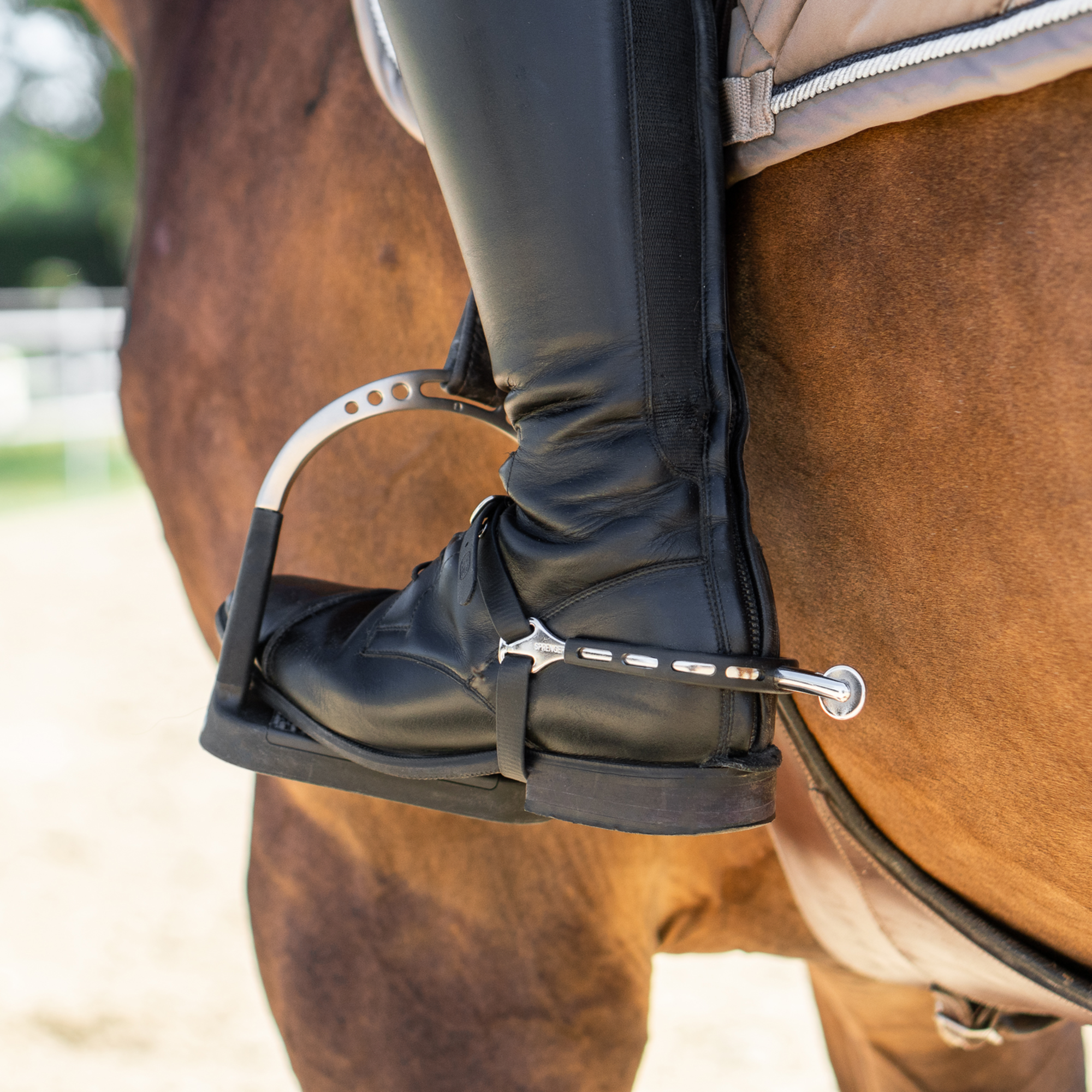 ULTRA fit EXTRA GRIP Sporen - Edelstahl rostfrei, 35 mm abgerundet mit großem Ballrad