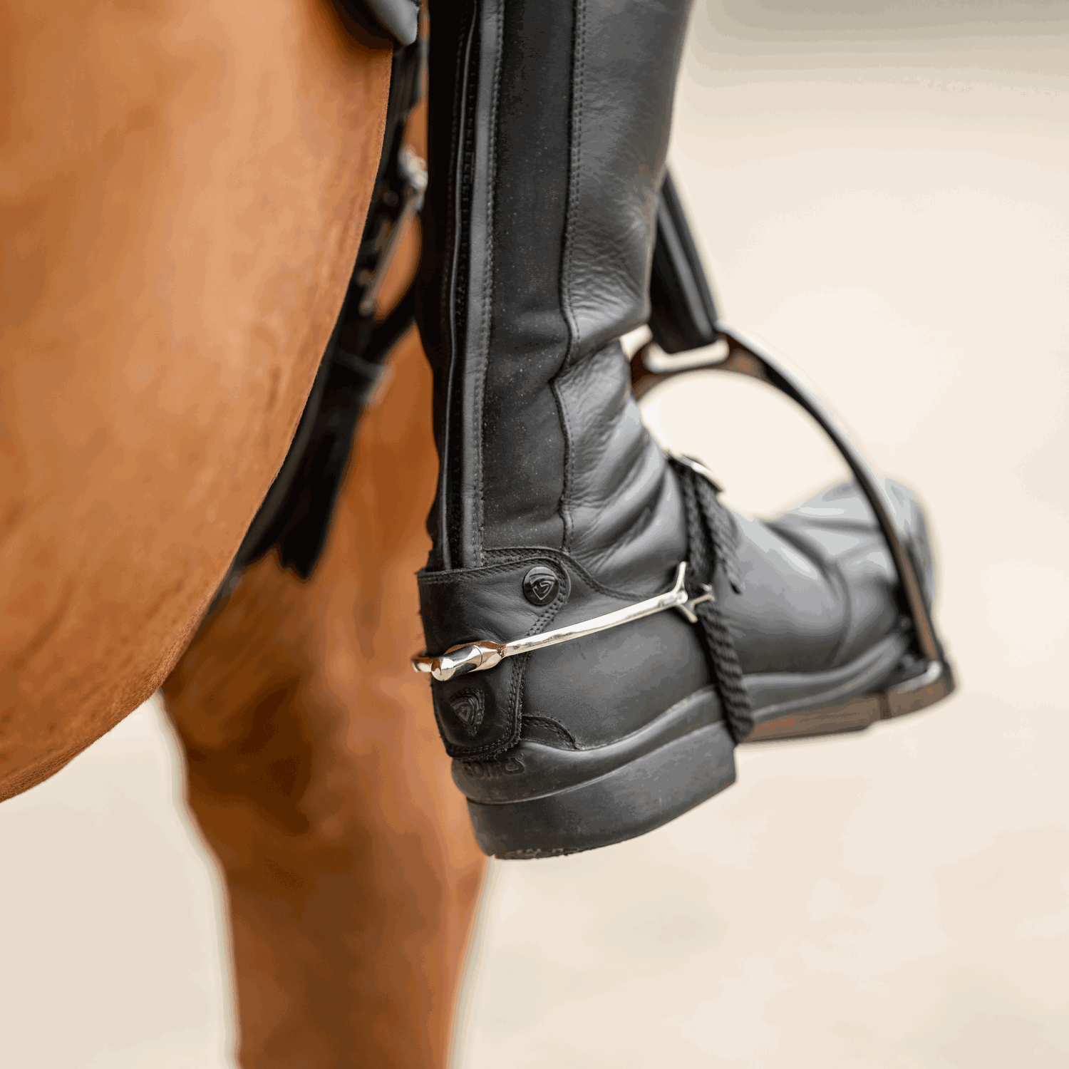BootProtect Sporen - Edelstahl rostfrei, 20 mm abgerundet