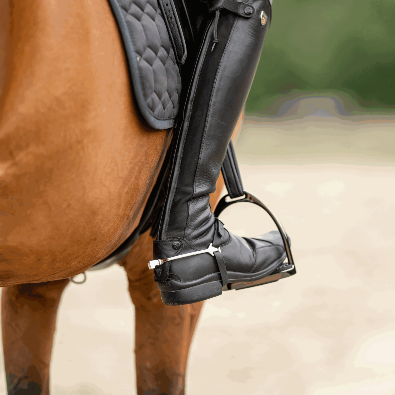 BootProtect Sporen - Edelstahl rostfrei, 20 mm flach