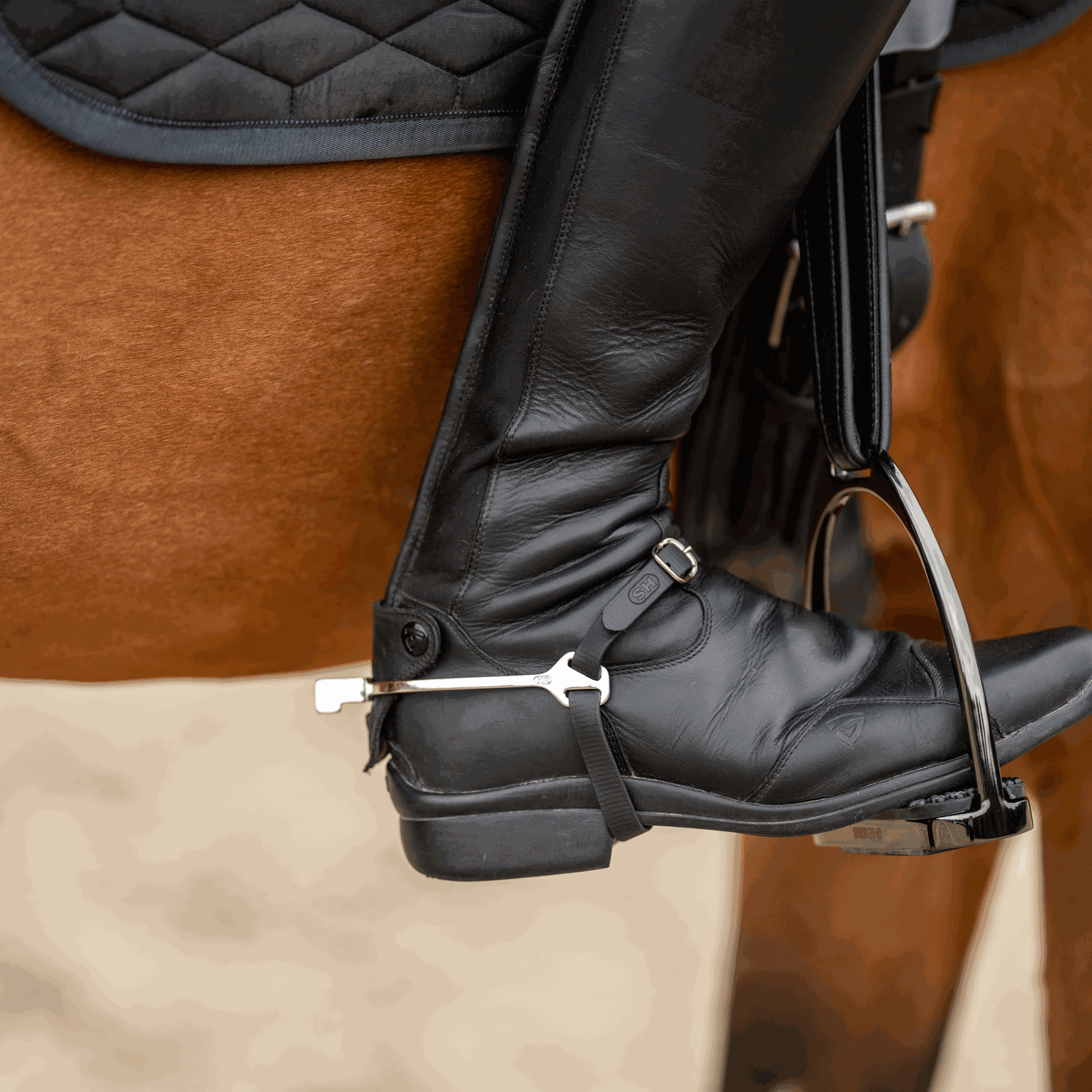 BootProtect Sporen - Edelstahl rostfrei, 20 mm flach