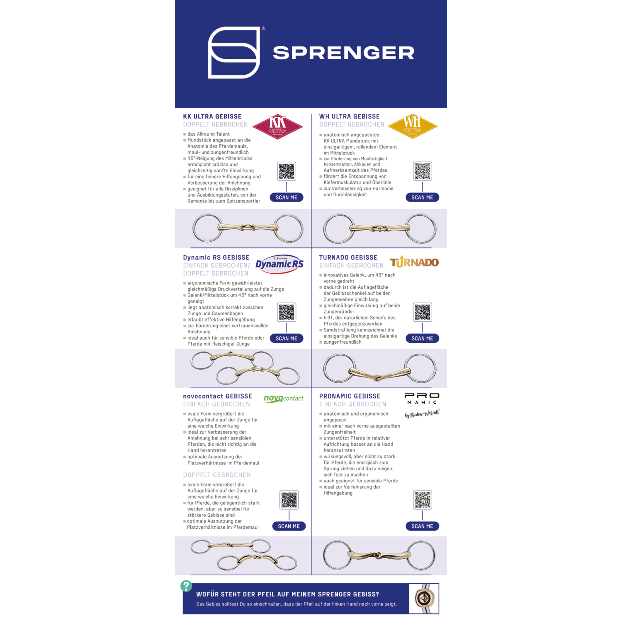 Brand Board Deutsch - Top Marken Gebisse erklärt - 35x80 cm Hartschaum