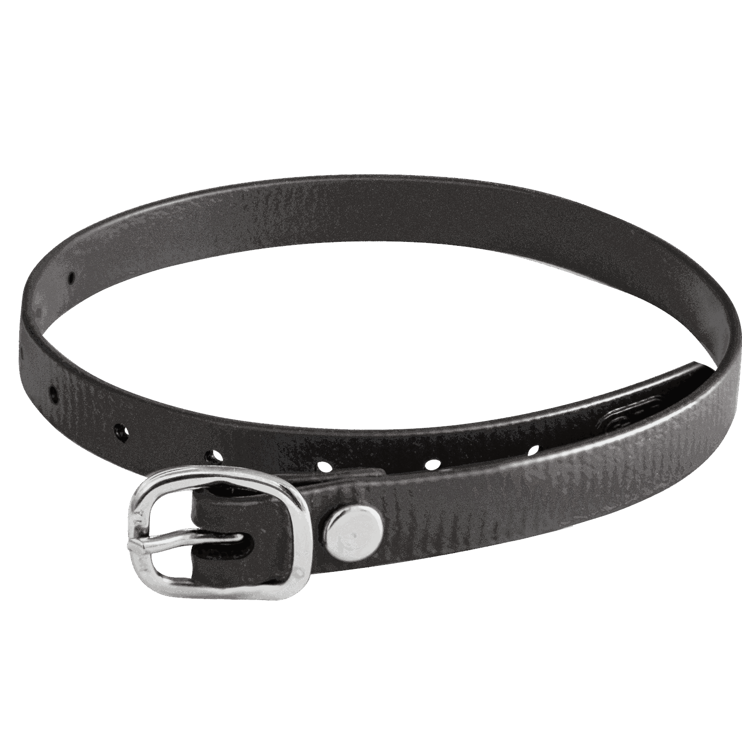 Sporenriemen - 45 cm, BioThane® schwarz, Schnalle silber