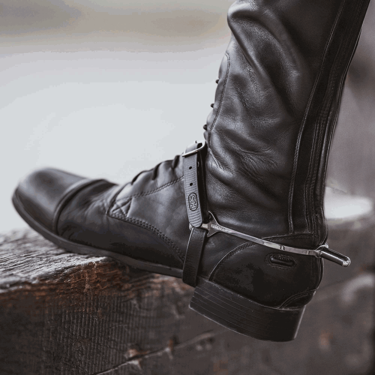 Sporenriemen - 45 cm, BioThane® schwarz, Schnalle silber