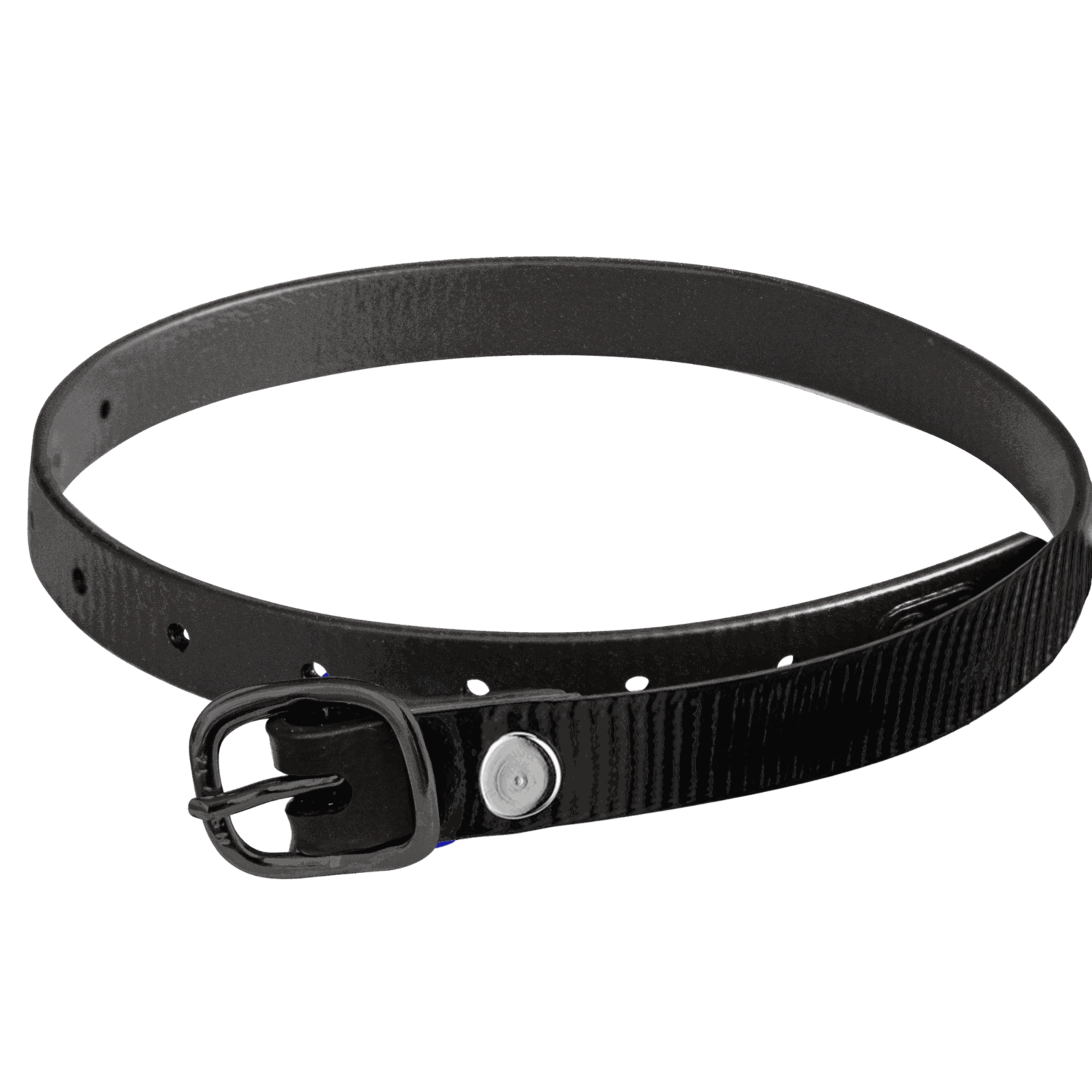 Sporenriemen - 45 cm, BioThane® Glossy schwarz, Schnalle schwarz