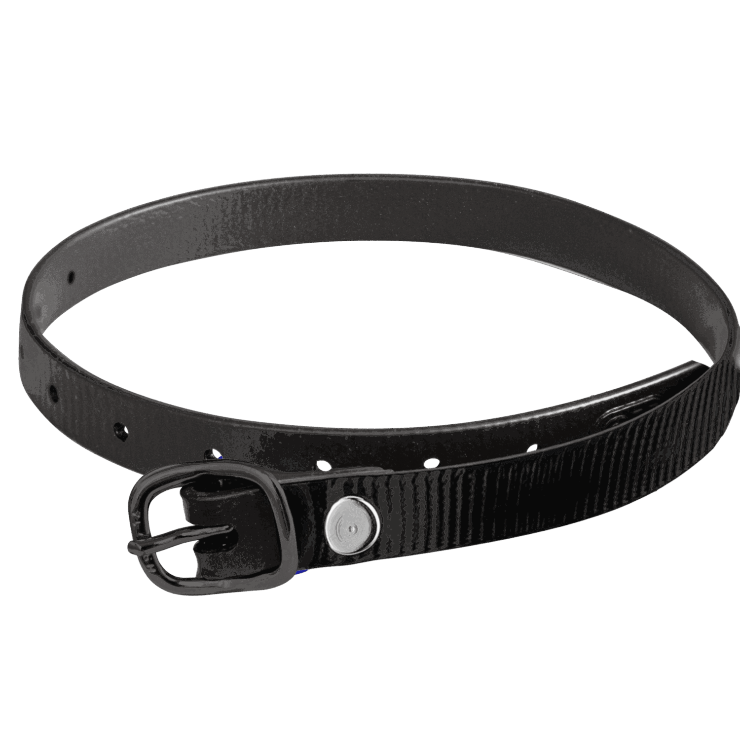 Sporenriemen - 45 cm, BioThane® Glossy schwarz, Schnalle schwarz