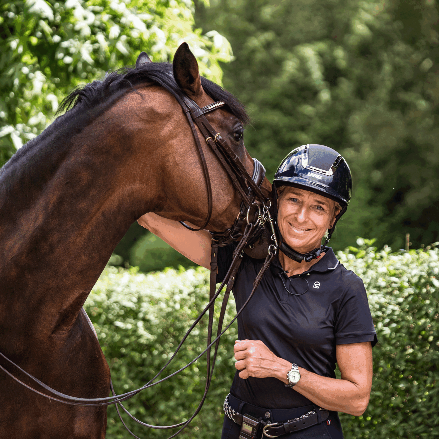 SPRENGER & Ingrid Klimke HO Kandare - SENSOGAN, 135 mm Weite