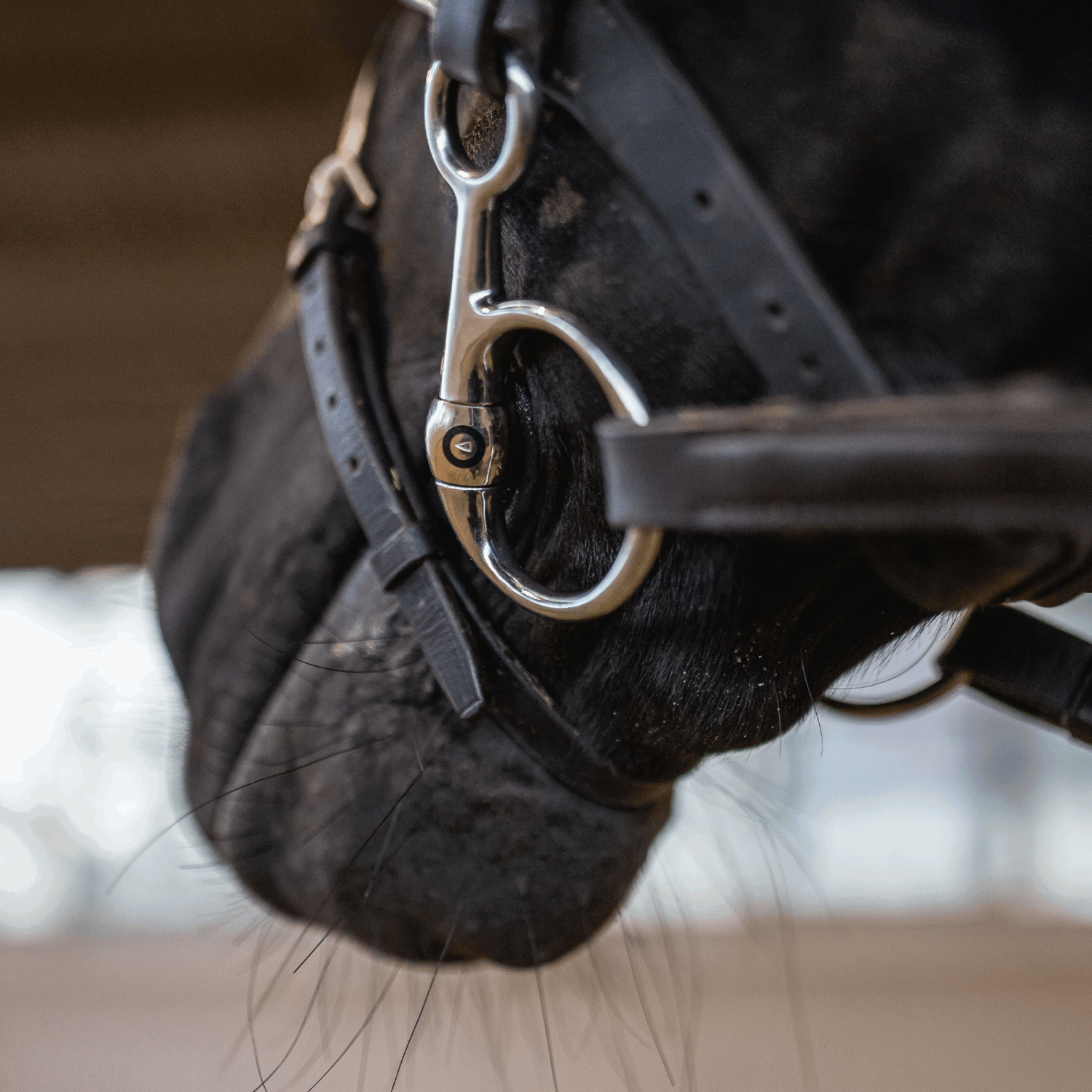 KK ULTRA Baucher Gebiss Fillistrense 16 mm