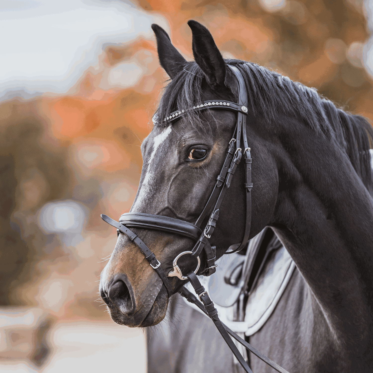 KK ULTRA Olivenkopf 14 mm - SENSOGAN