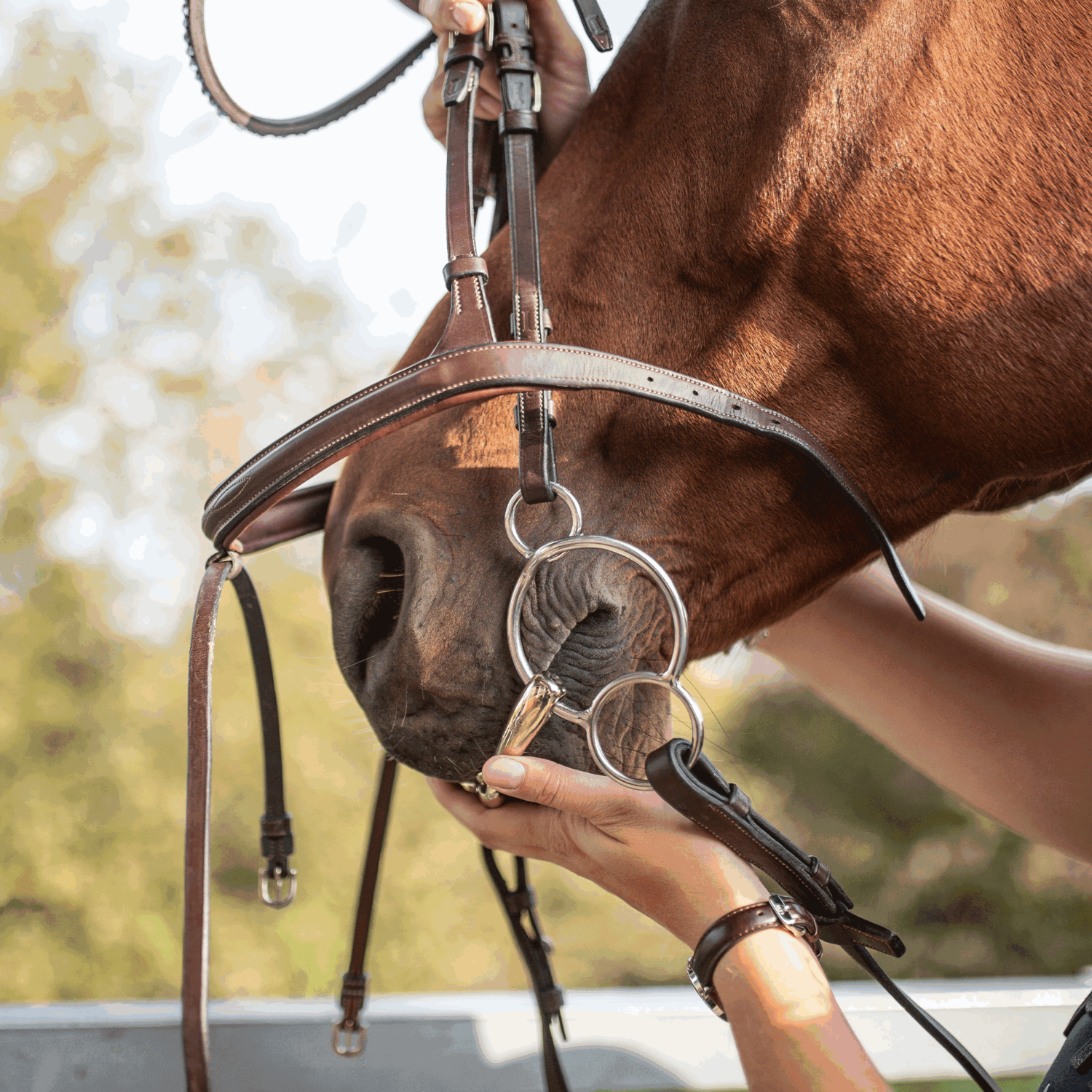 Dynamic RS Universal 16 mm doppelt gebrochen - Sensogan