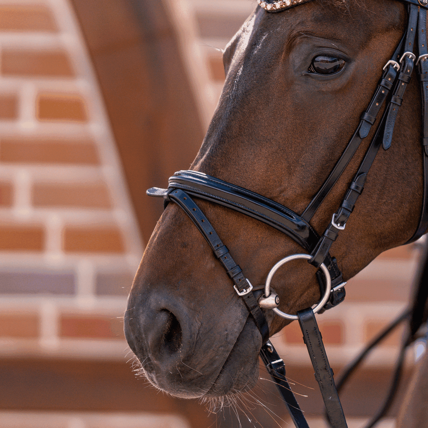 novocontact Wassertrense 16 mm einfach gebrochen - Sensogan