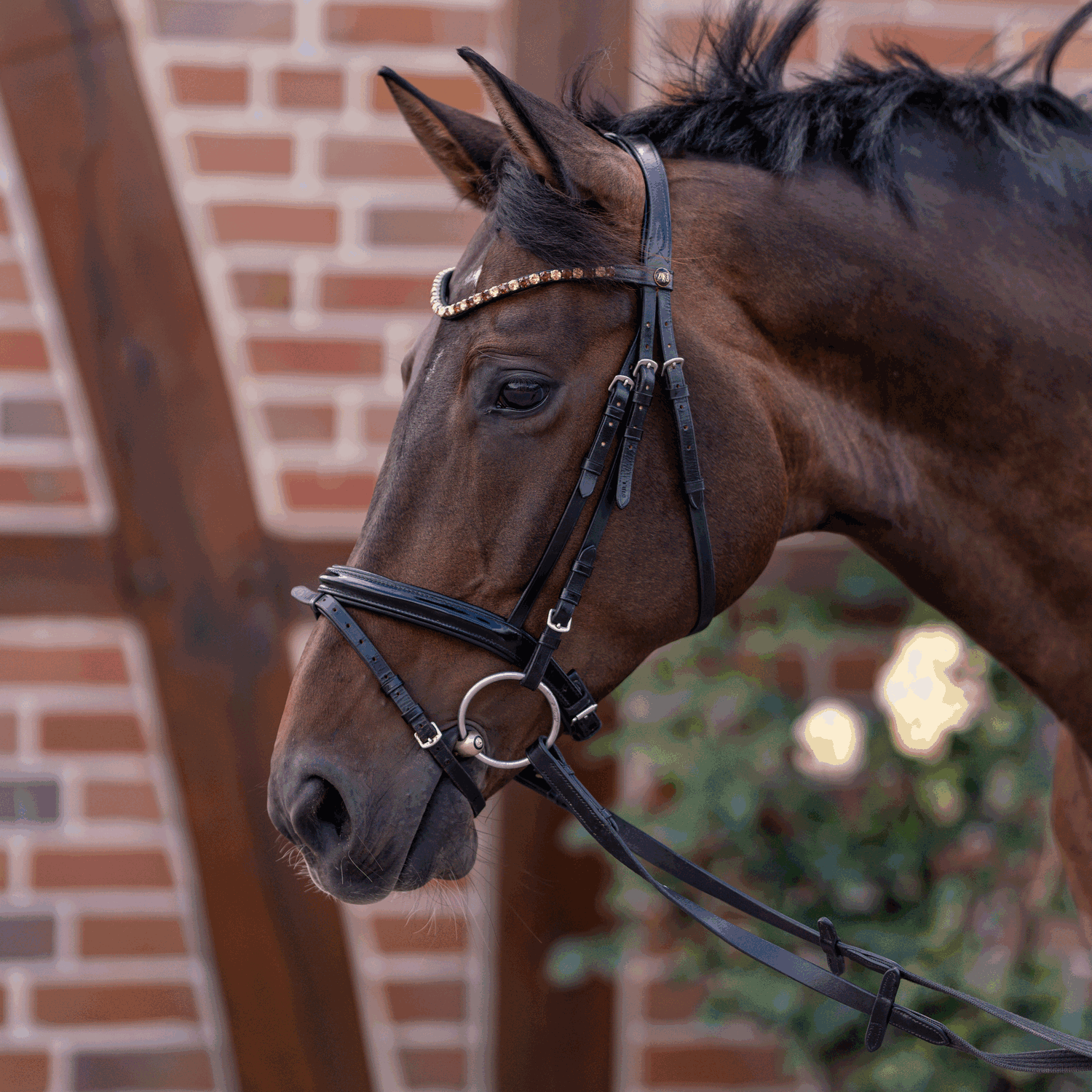 novocontact Wassertrense 16 mm einfach gebrochen - Sensogan