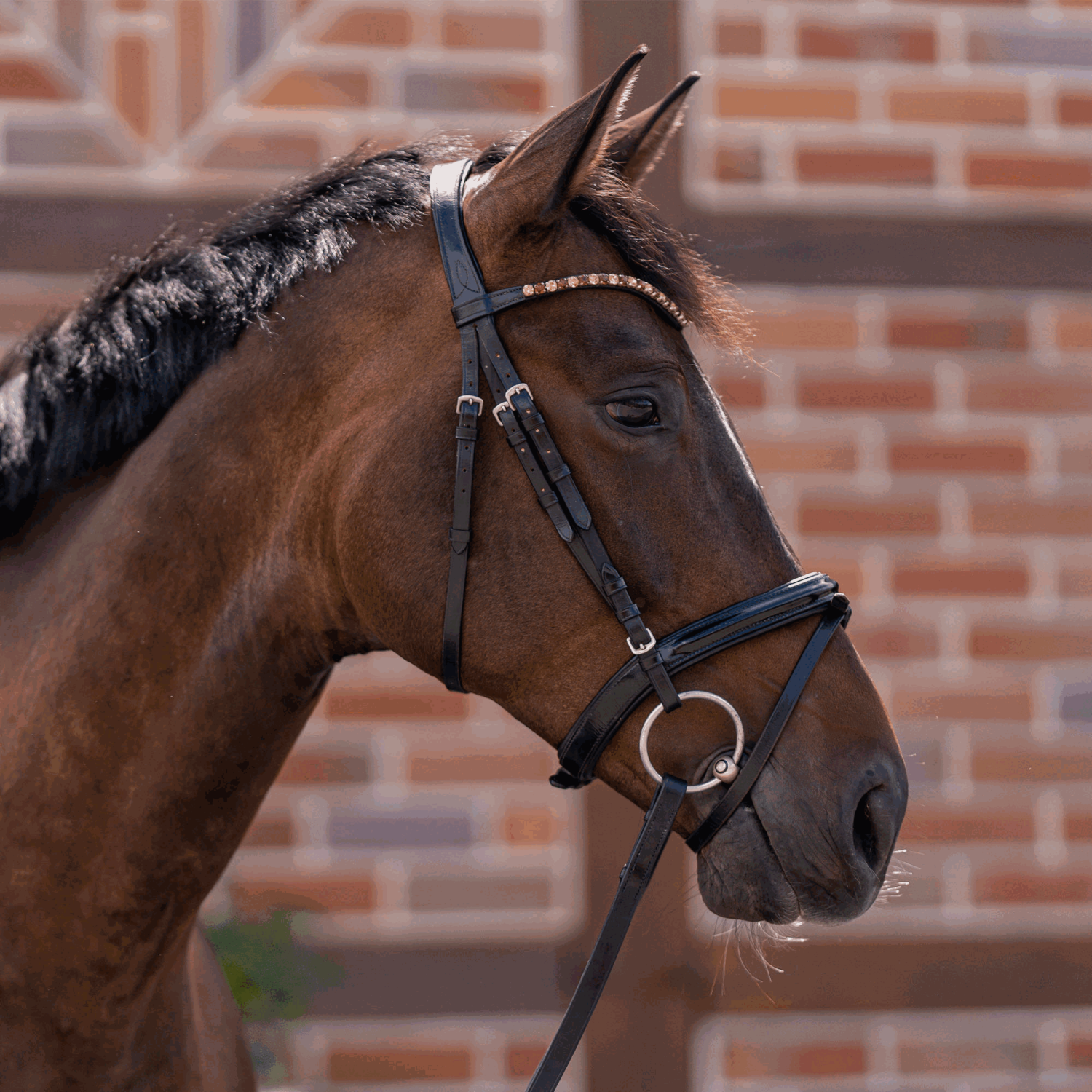 novocontact Wassertrense 14 mm einfach gebrochen - Sensogan