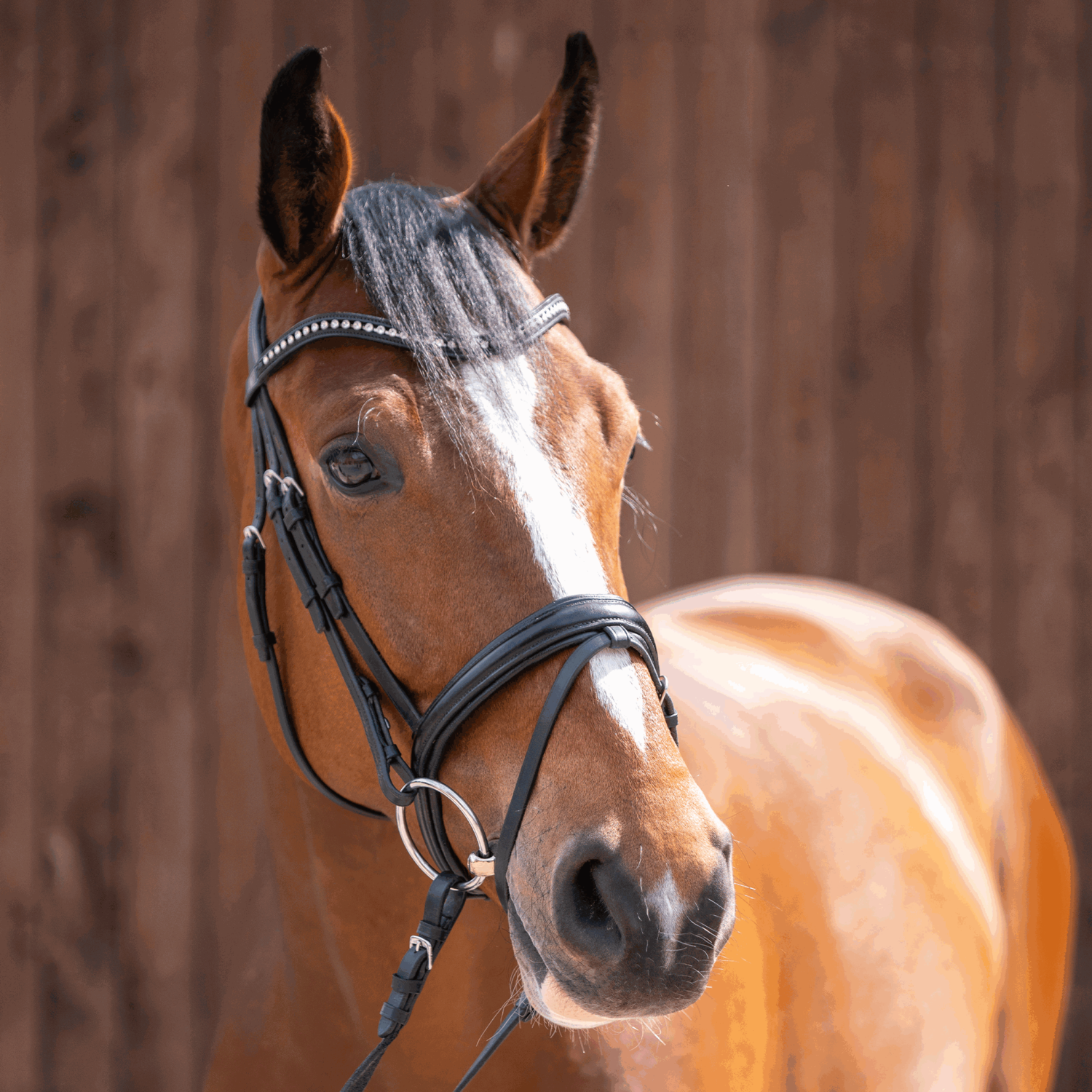 novocontact Wassertrense 14 mm einfach gebrochen - Sensogan