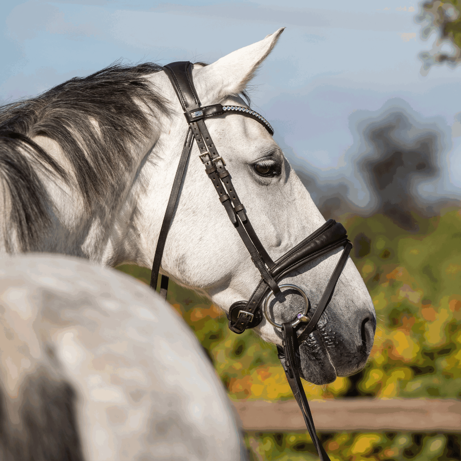 Dynamic RS Wassertrense 16 mm doppelt gebrochen