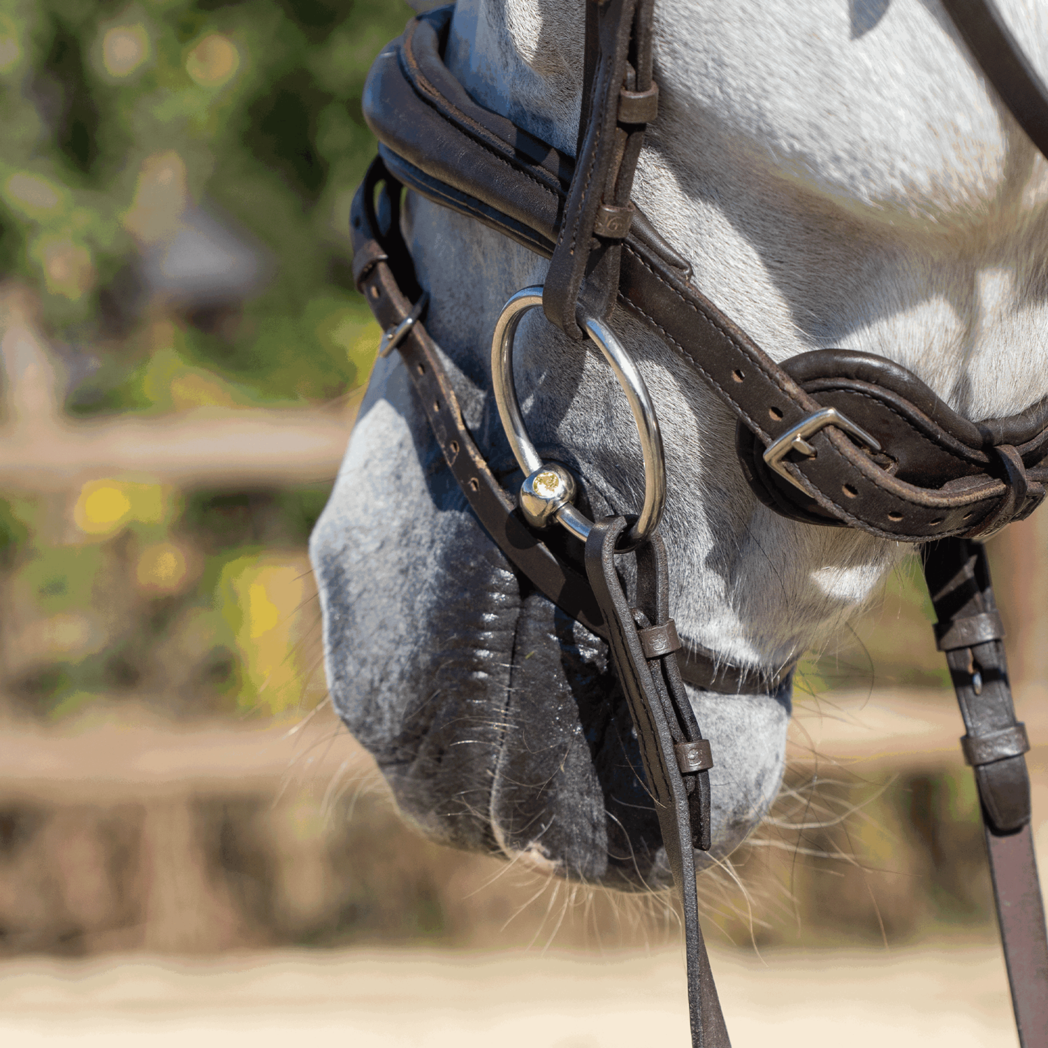 Dynamic RS Wassertrense 16 mm doppelt gebrochen