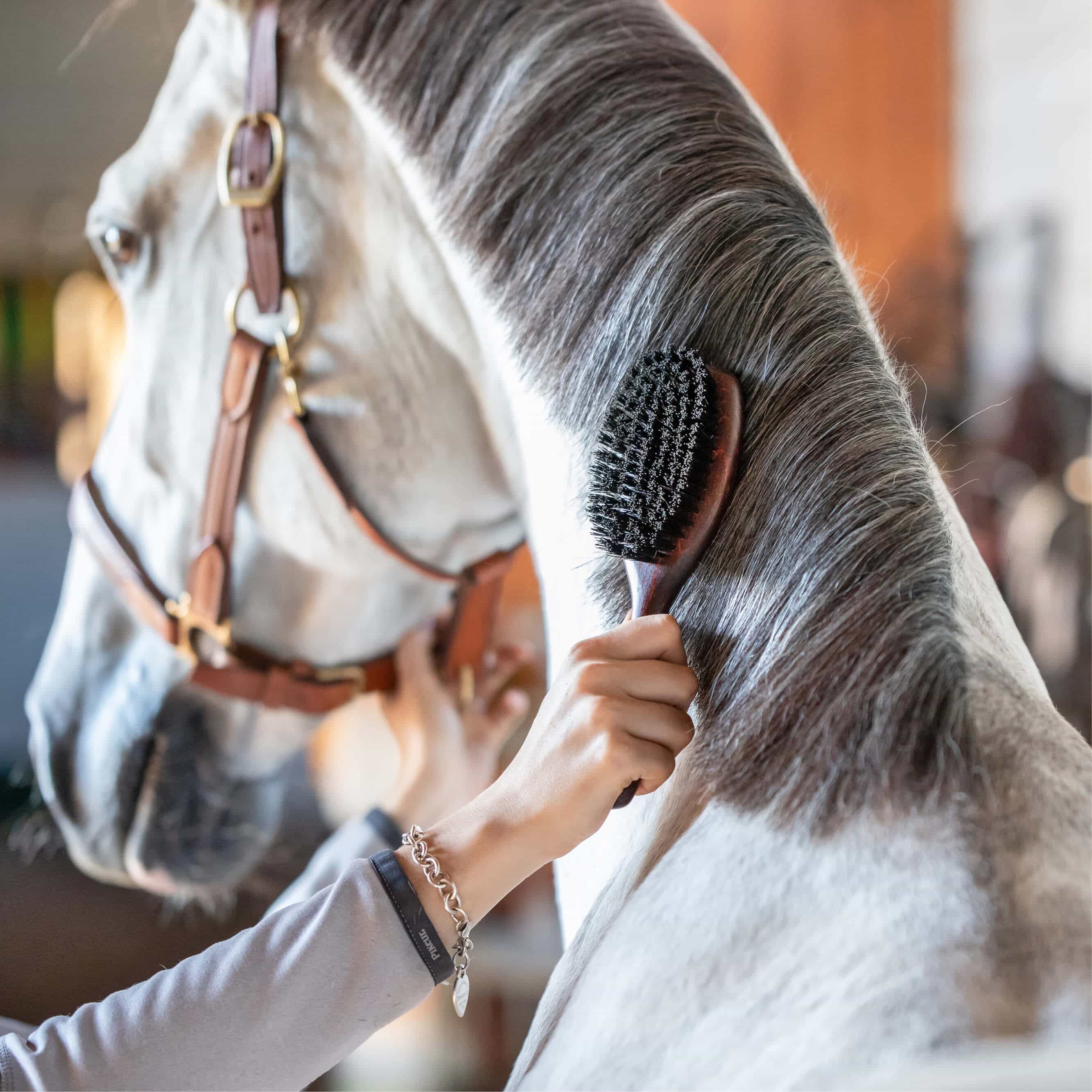 Sprenger: the best for horse and rider since 1872