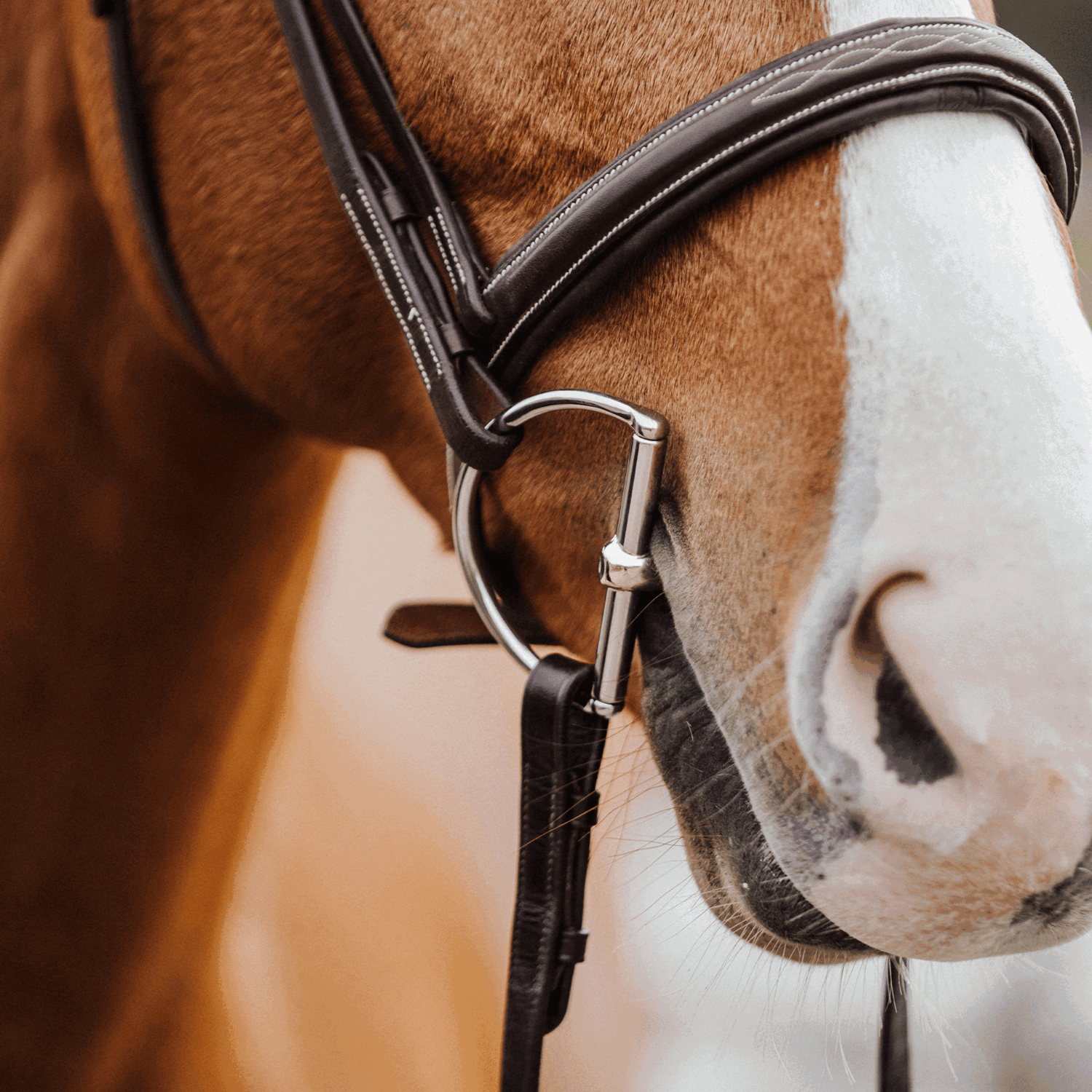 KK D-Ring Gebiss 12 mm - Sensogan