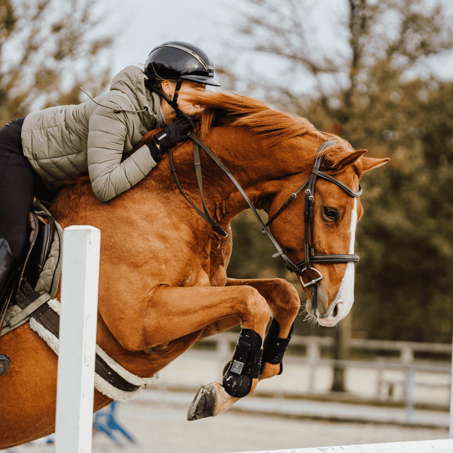 KK D-Ring Gebiss 12 mm - Sensogan