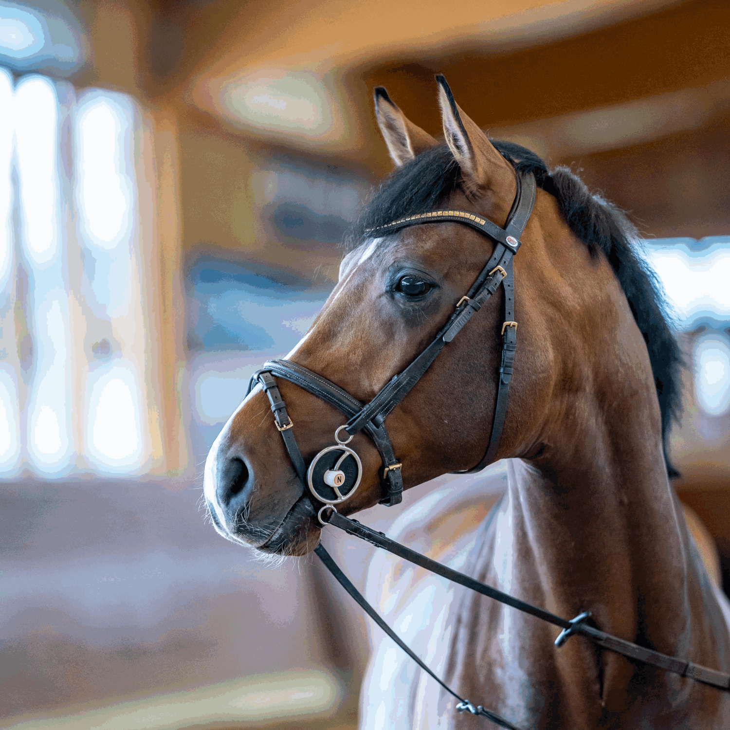 NATHE 3-Ring Gebiss mit Gleitsteg 20 mm mit biegsamer Stange