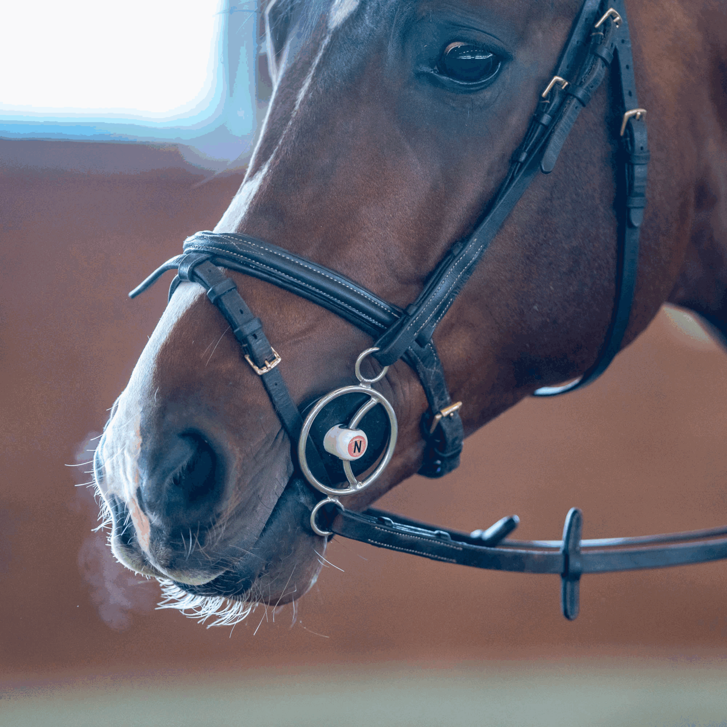 NATHE 3-Ring Gebiss mit Gleitsteg 20 mm mit biegsamer Stange