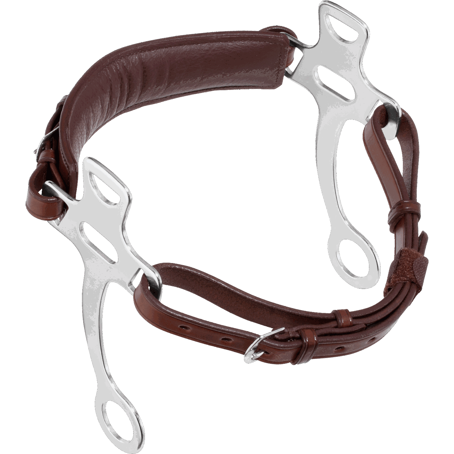 Hackamore