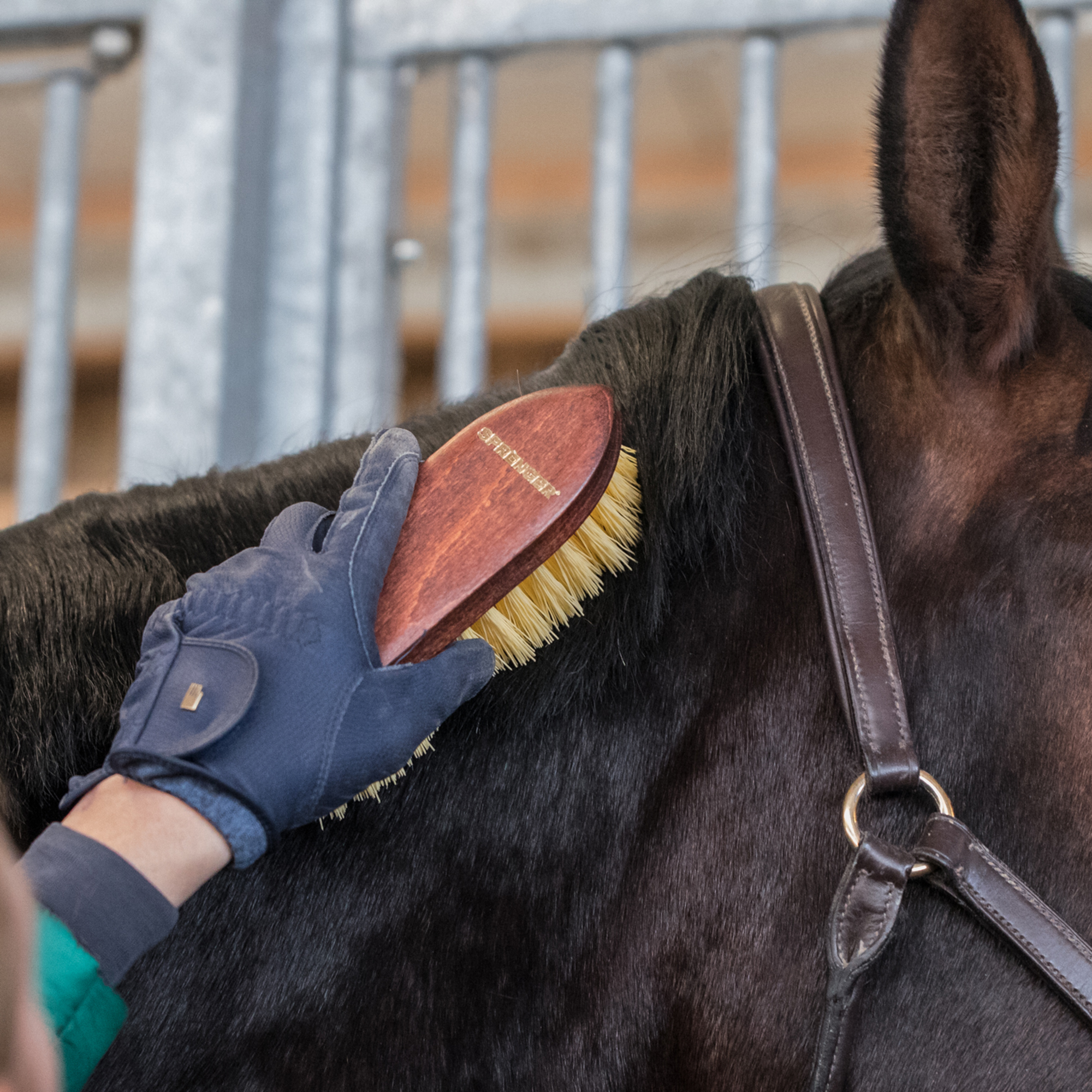 Wurzelbürste Perlon Borsten