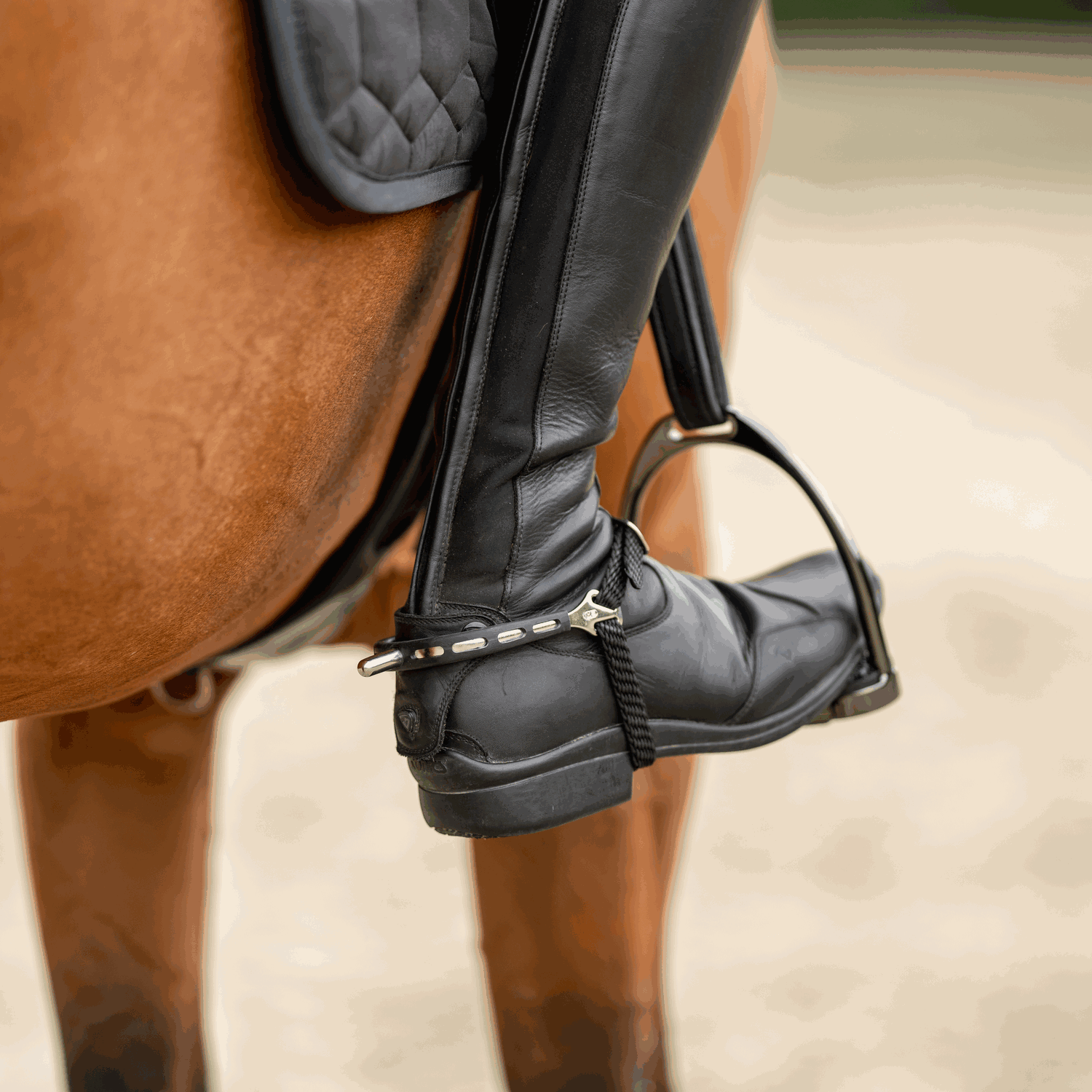 Ultra fit EXTRA GRIP Sporen - Edelstahl rostfrei, 25 mm abgerundet
