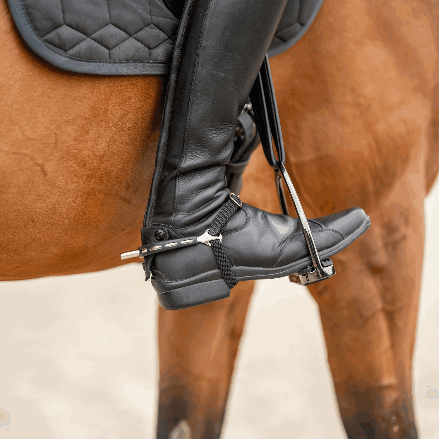 ULTRA fit EXTRA GRIP Sporen - Edelstahl rostfrei, 25 mm flach