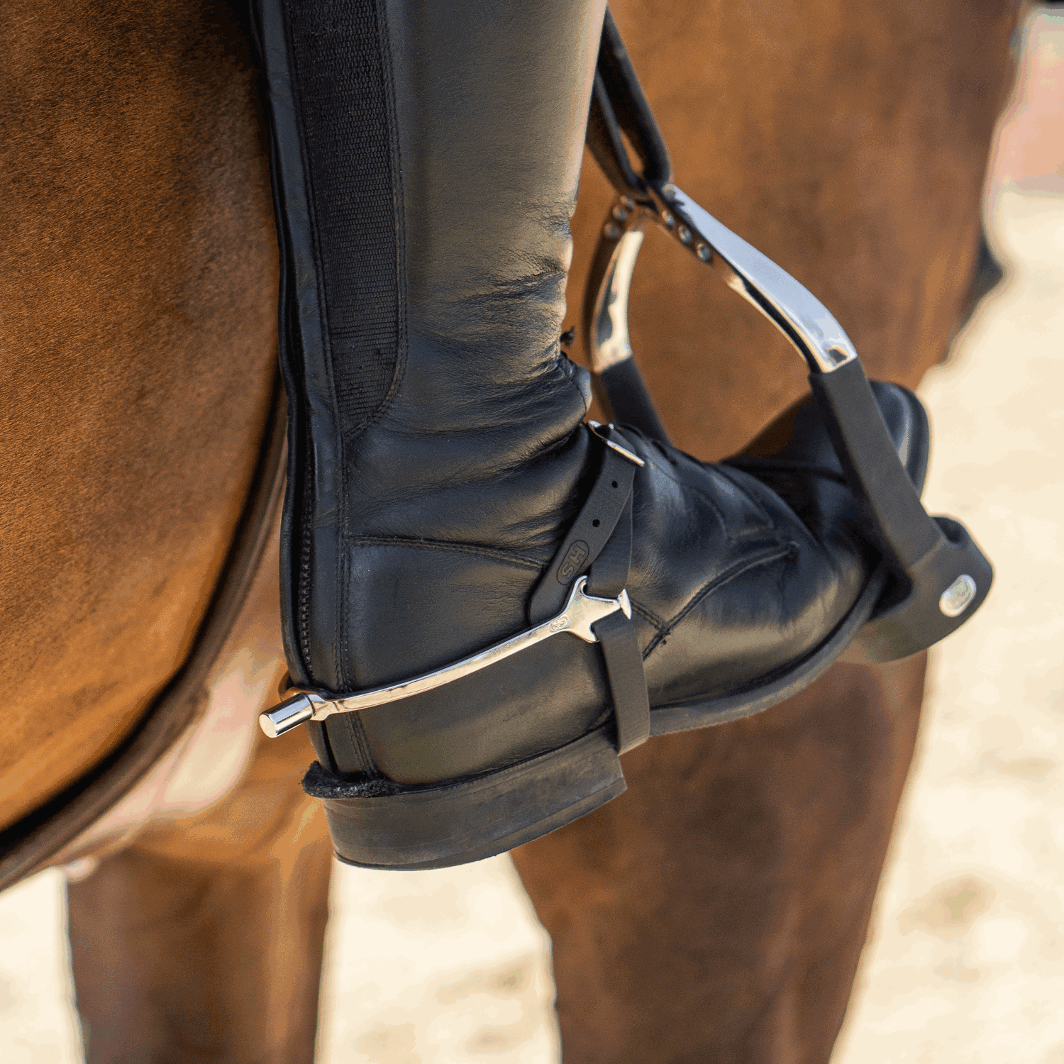BootProtect Sporen - Edelstahl rostfrei, 15 mm flach