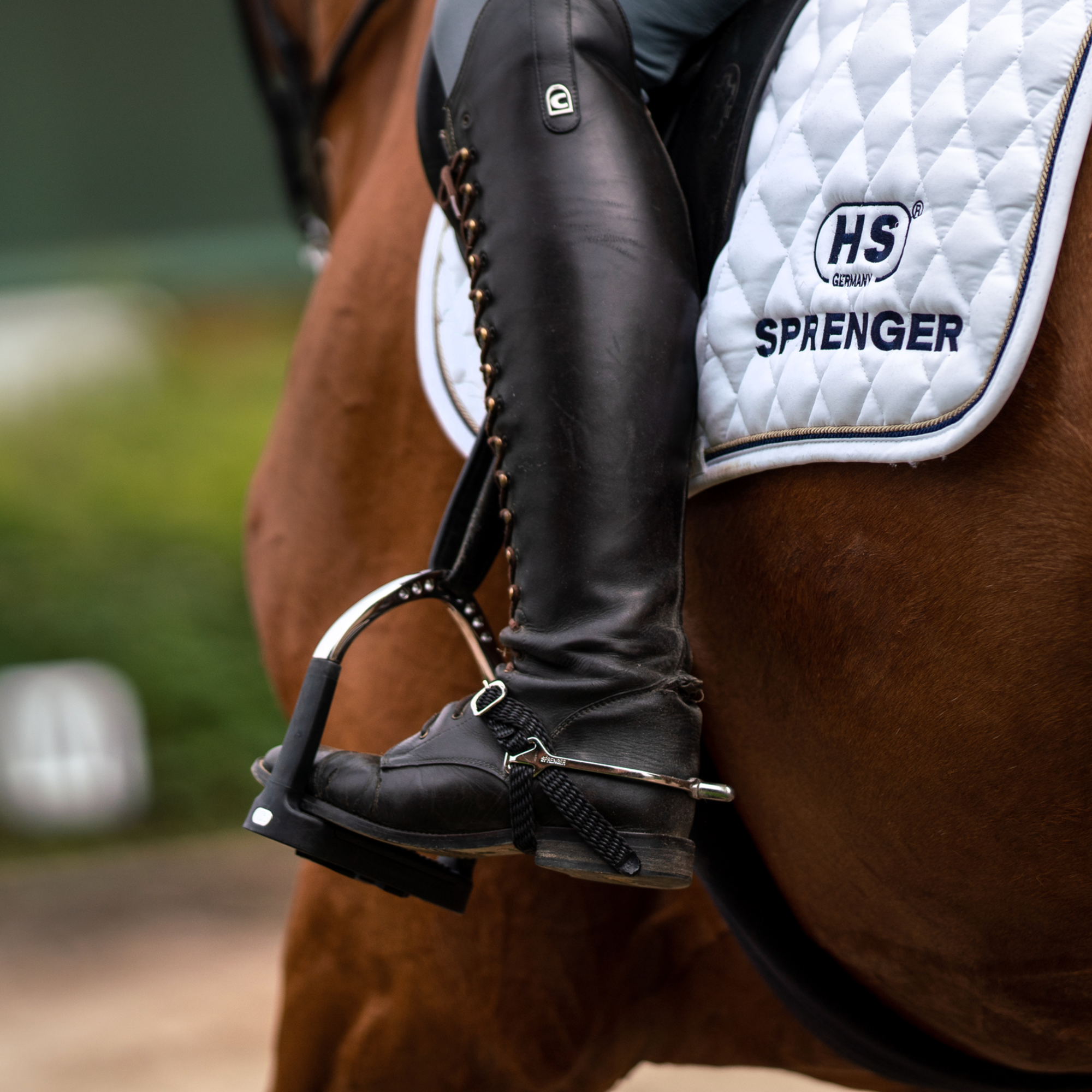 BootProtect Sporen - Edelstahl rostfrei, 25 mm abgerundet