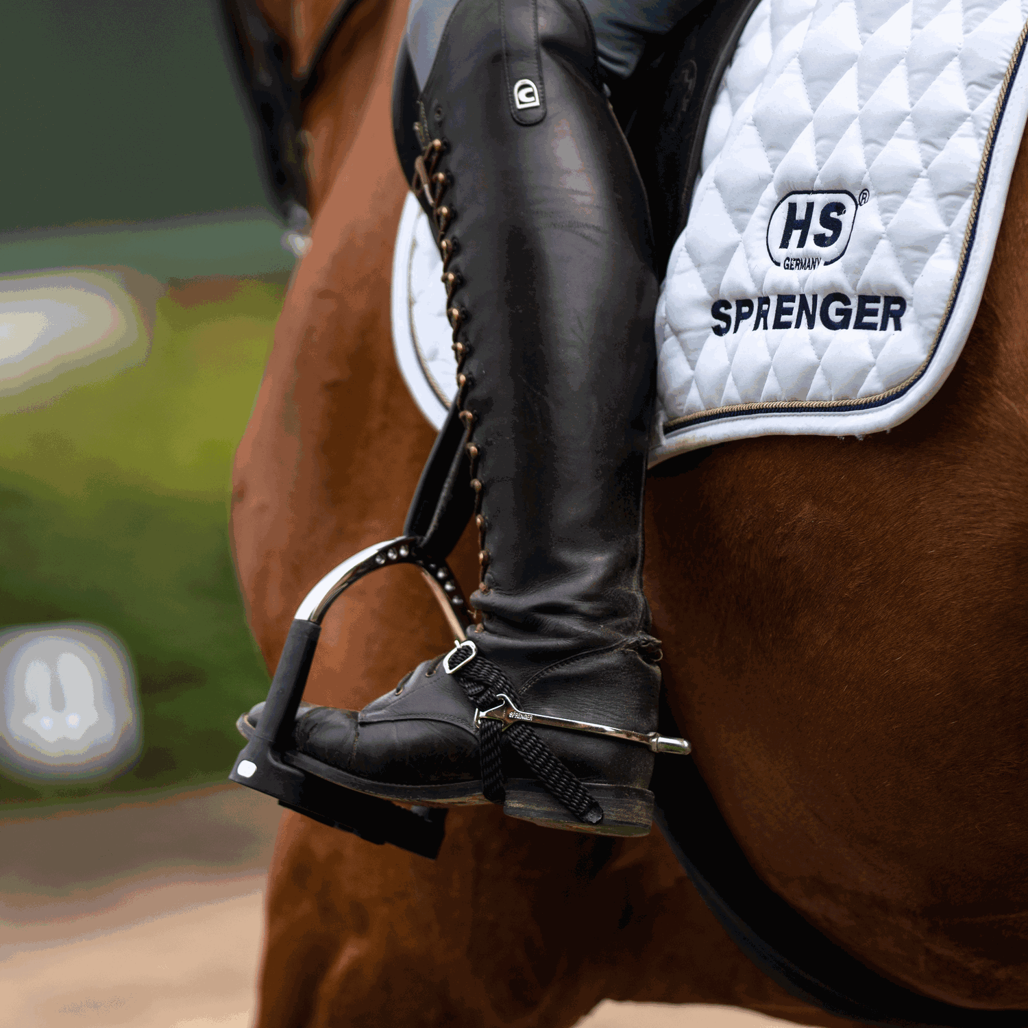 BootProtect Sporen - Edelstahl rostfrei, 25 mm abgerundet