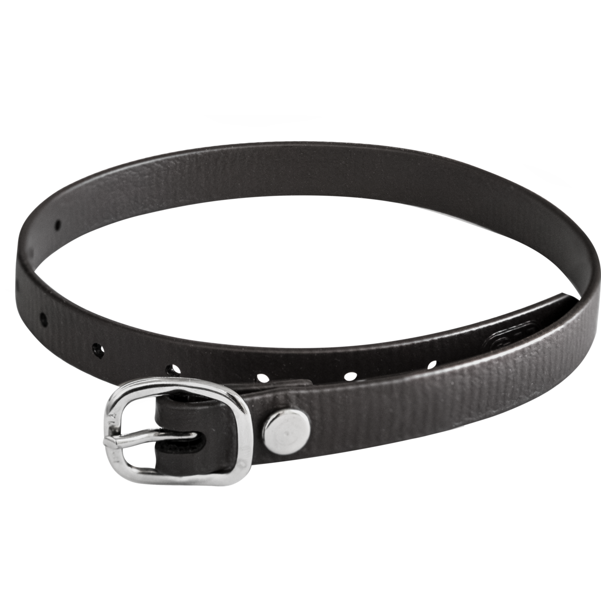 Sporenriemen - 45 cm, BioThane® schwarz, Schnalle silber