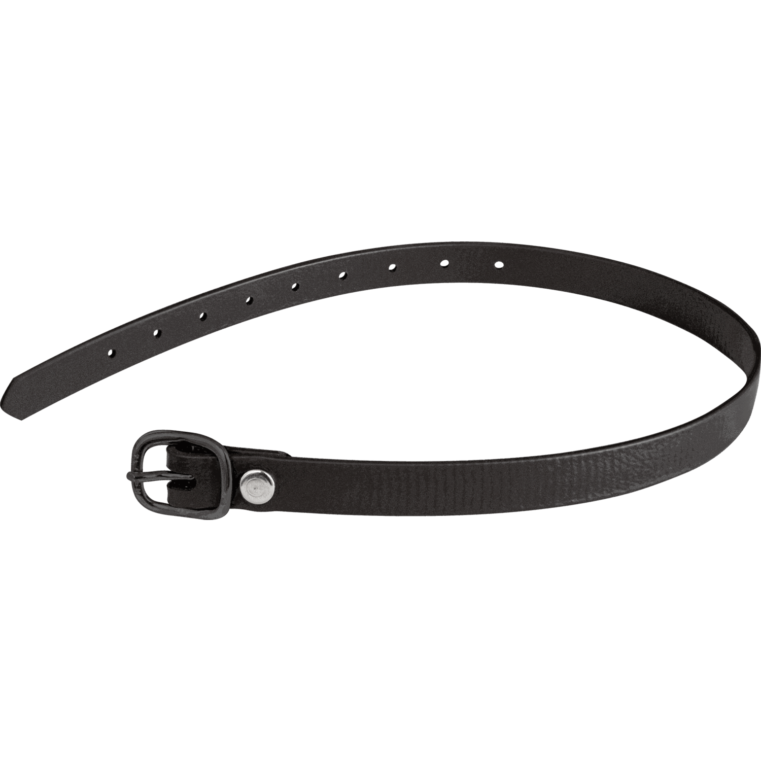 Sporenriemen - 45 cm, BioThane® schwarz, Schnalle schwarz