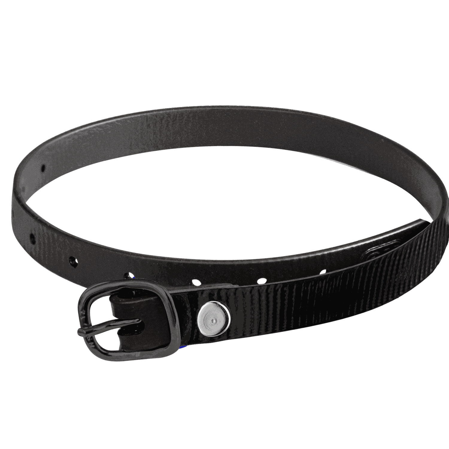 Sporenriemen - 45 cm, BioThane® Glossy schwarz, Schnalle schwarz | 4919704561.png | 1744615361