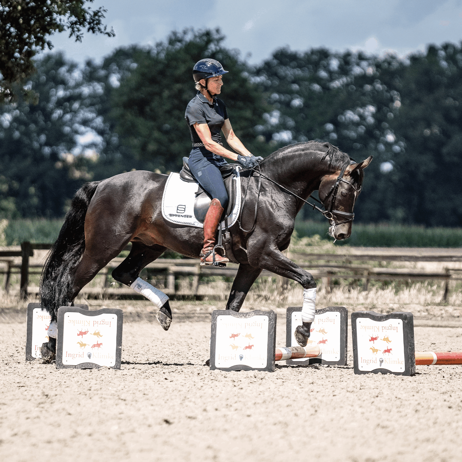 SPRENGER & Ingrid Klimke Bow Balance Steigbügel