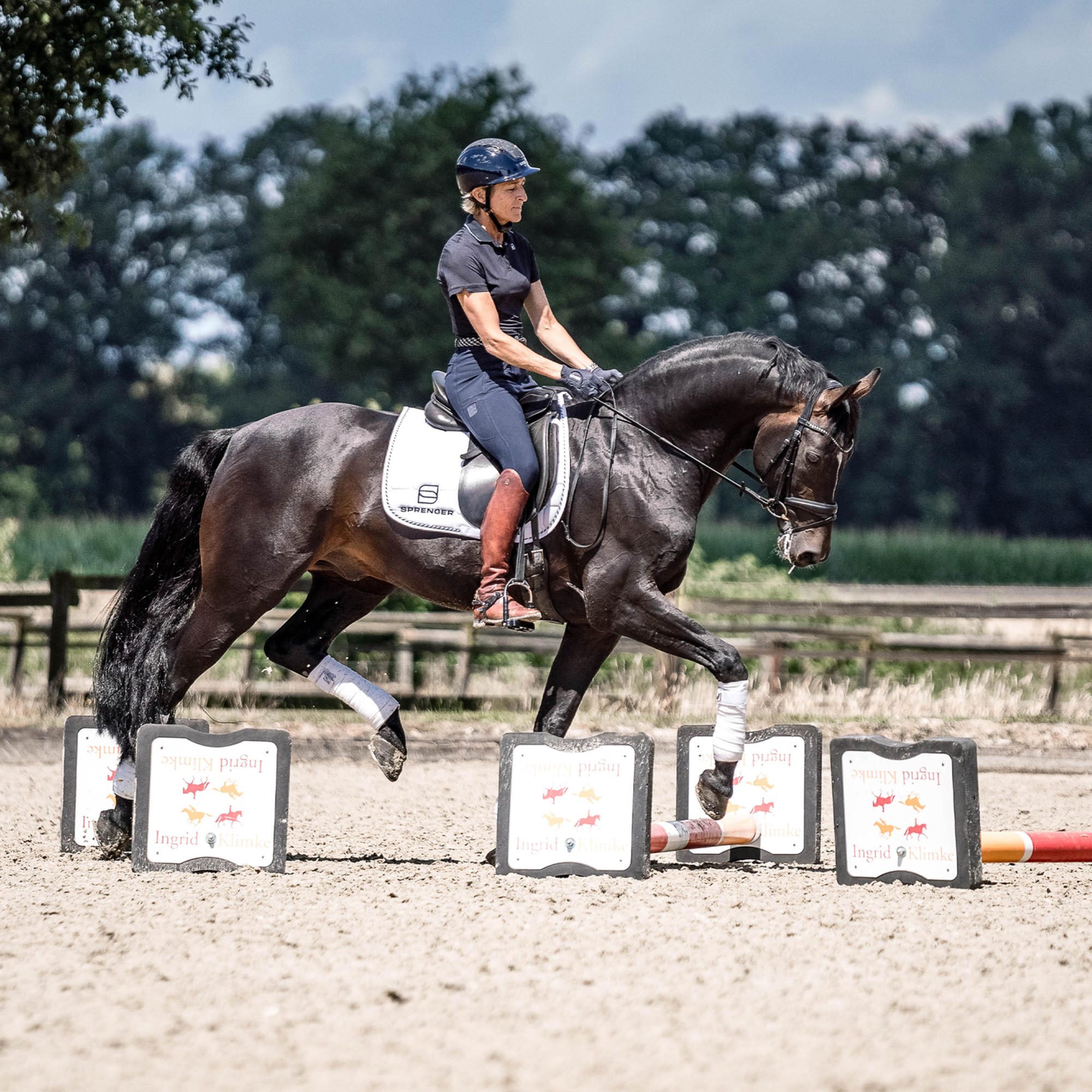 SPRENGER & Ingrid Klimke Bow Balance Steigbügel