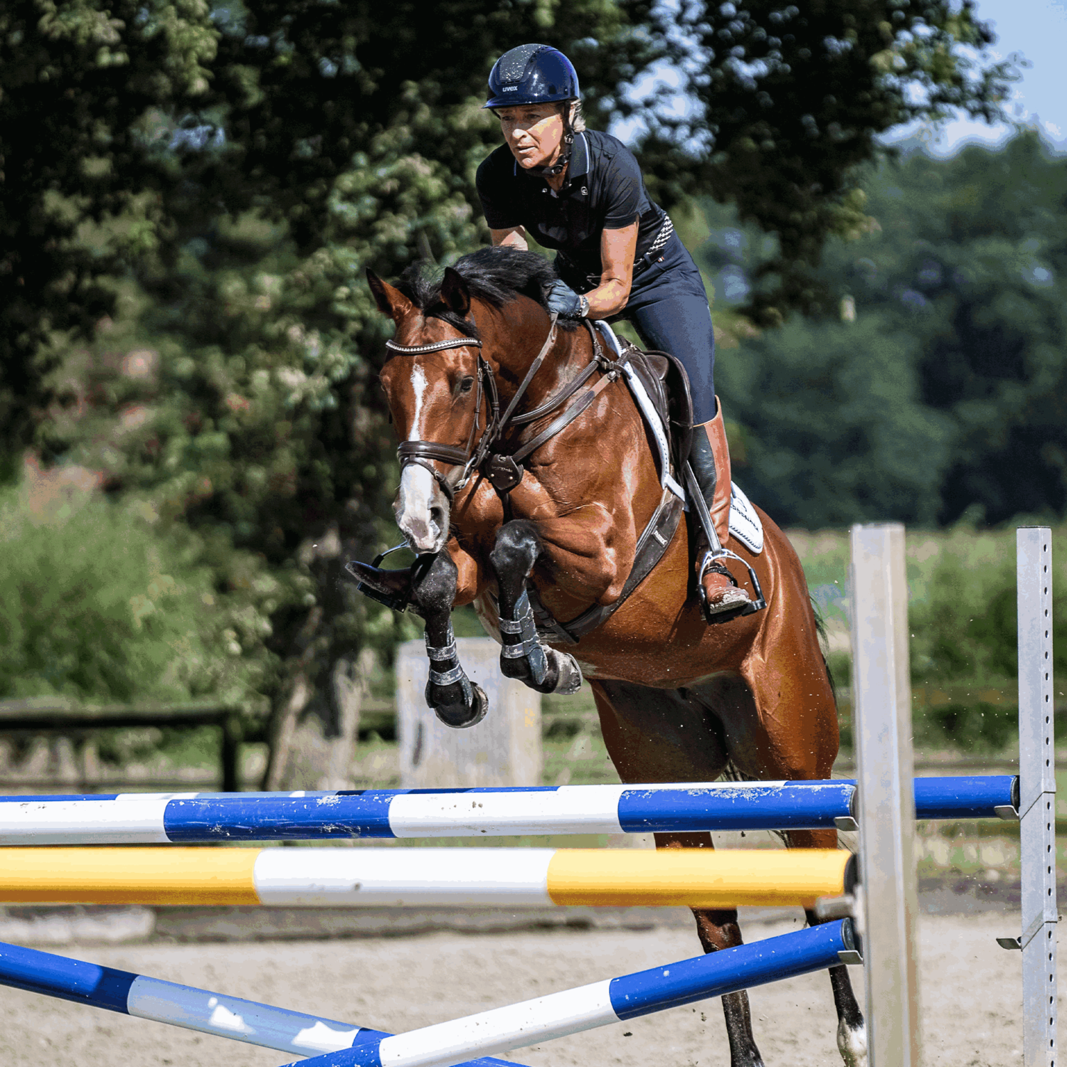 SPRENGER & Ingrid Klimke Bow Balance Steigbügel