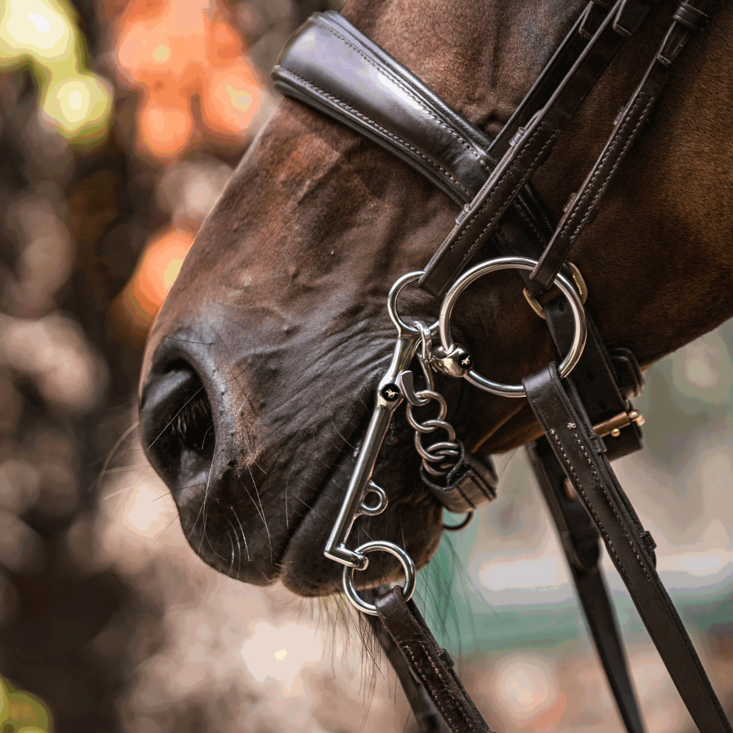 SPRENGER & Ingrid Klimke HO Kandare - SENSOGAN, 115 mm Weite