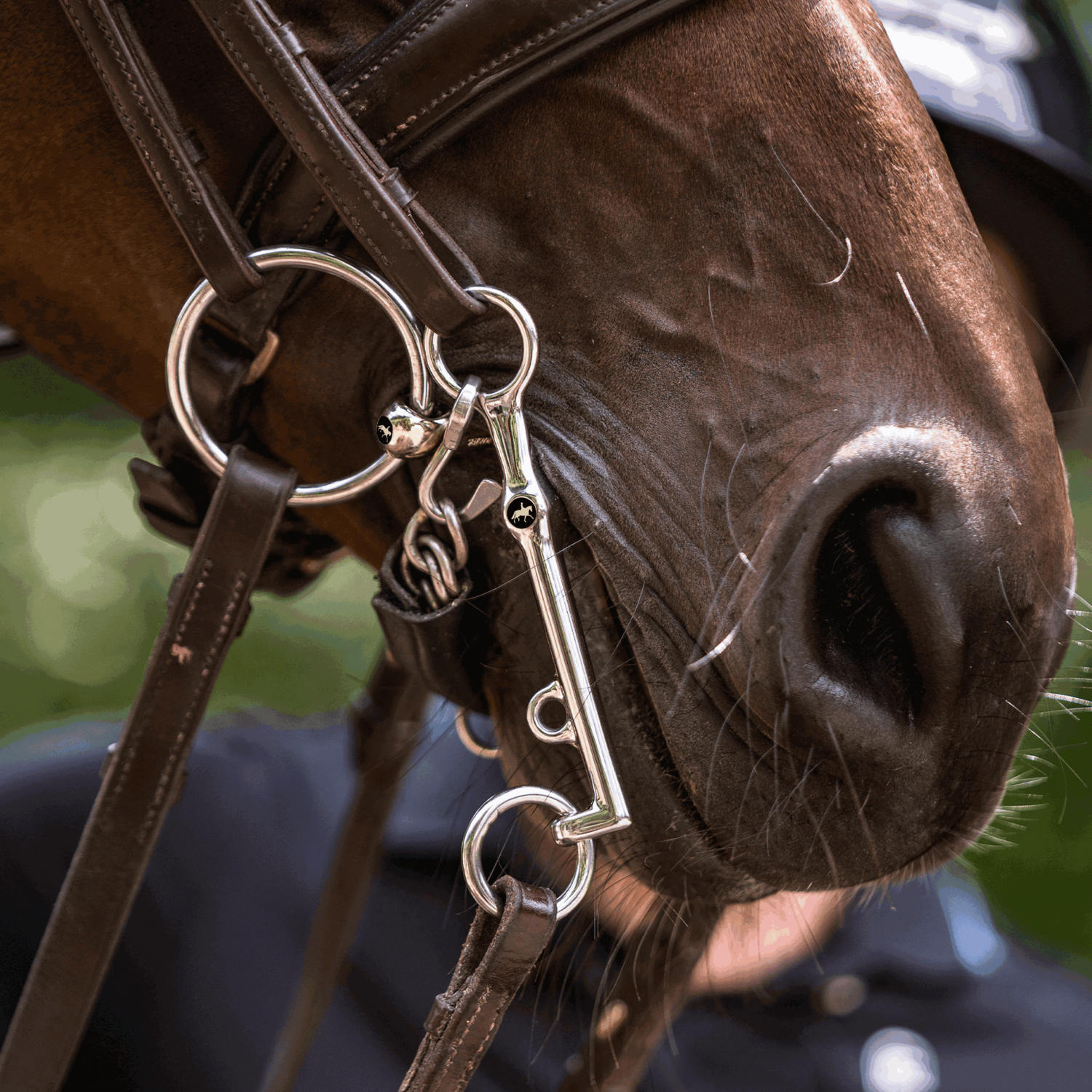 SPRENGER & Ingrid Klimke HO Kandare - SENSOGAN, 125 mm Weite