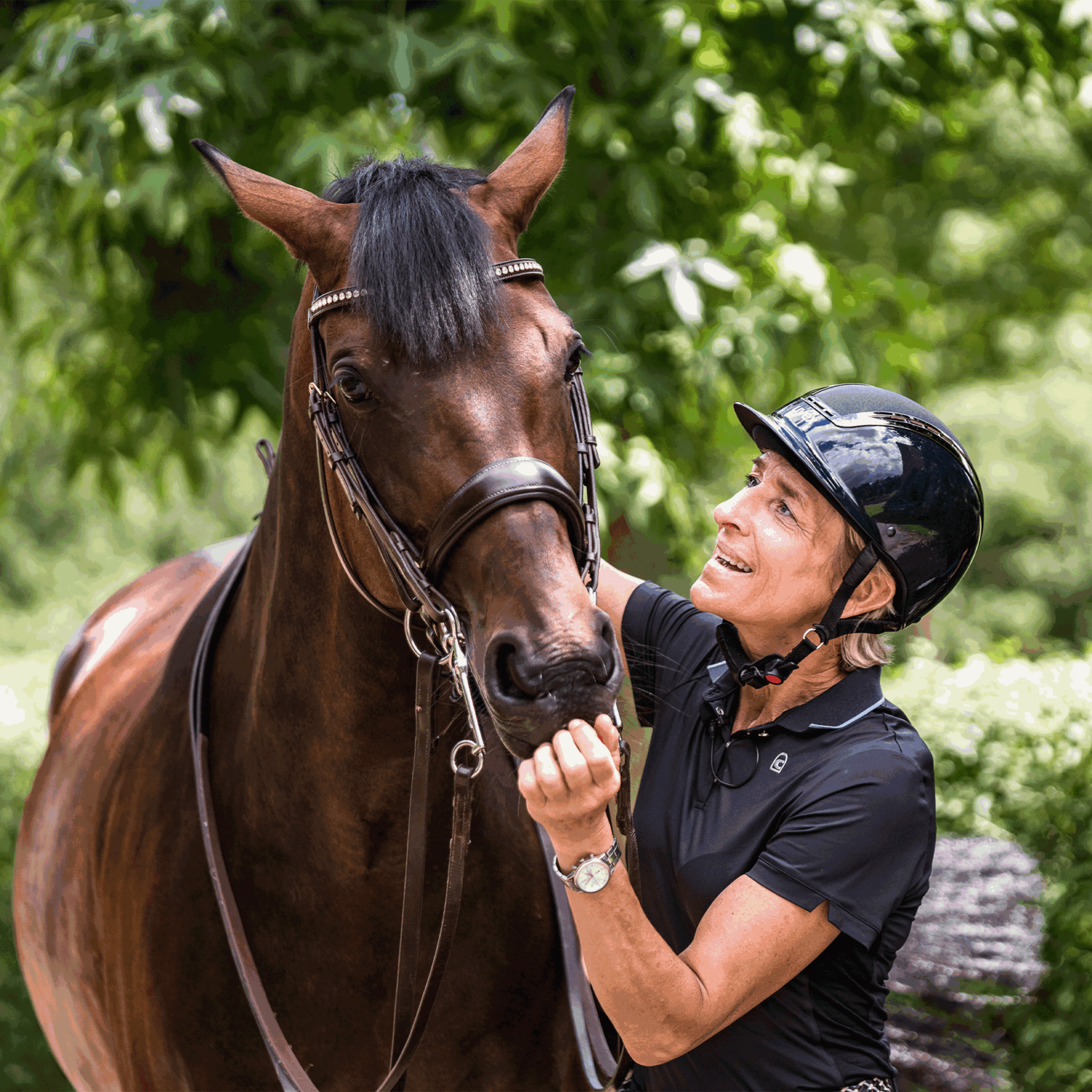 SPRENGER & Ingrid Klimke HO Kandare - SENSOGAN, 115 mm Weite