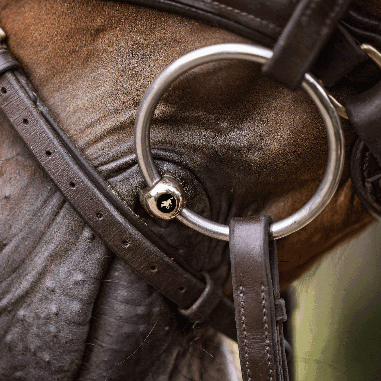 SPRENGER & Ingrid Klimke KK ULTRA Wassertrense - SENSOGAN, 135 mm Weite