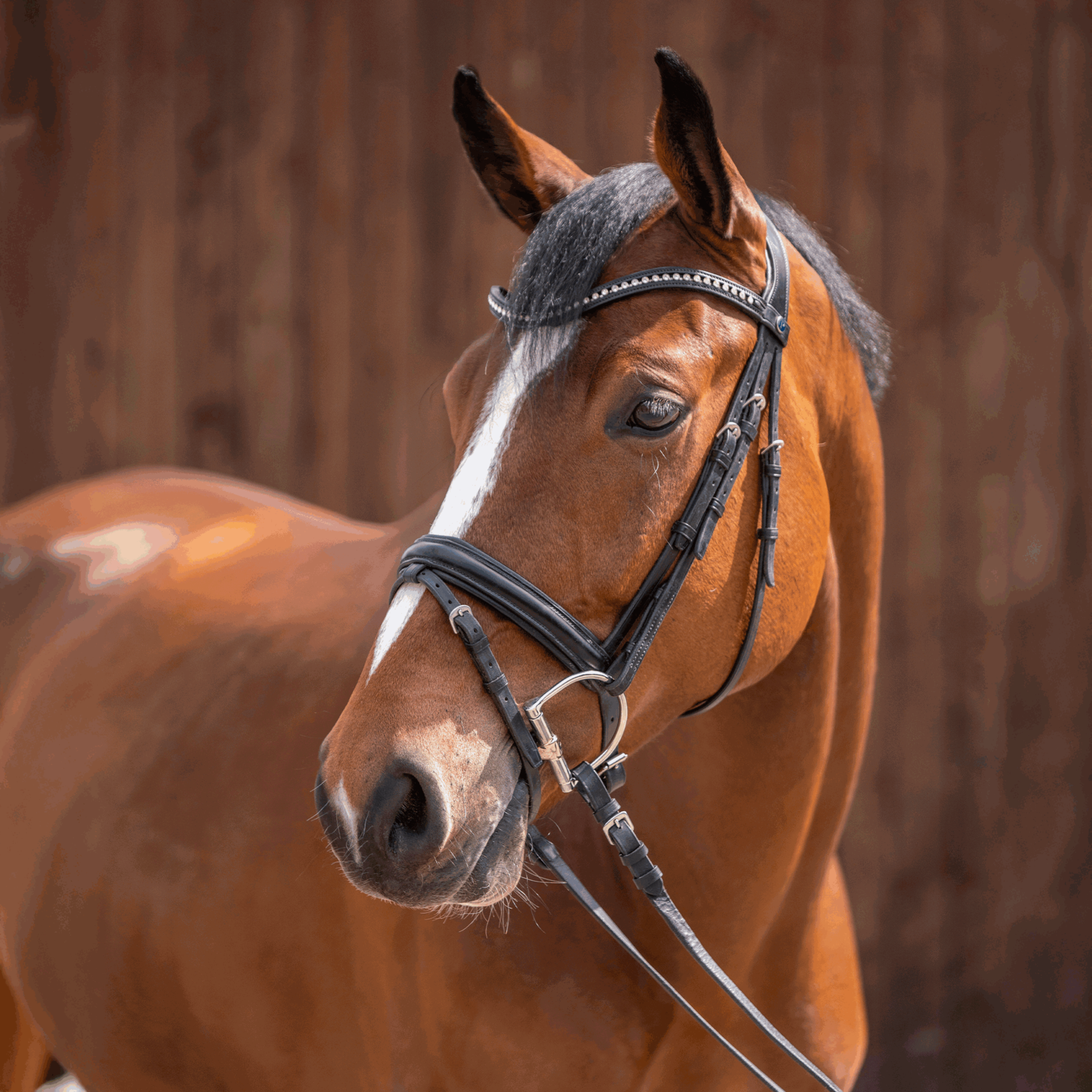 KK ULTRA D-Ring 15 mm - Sensogan