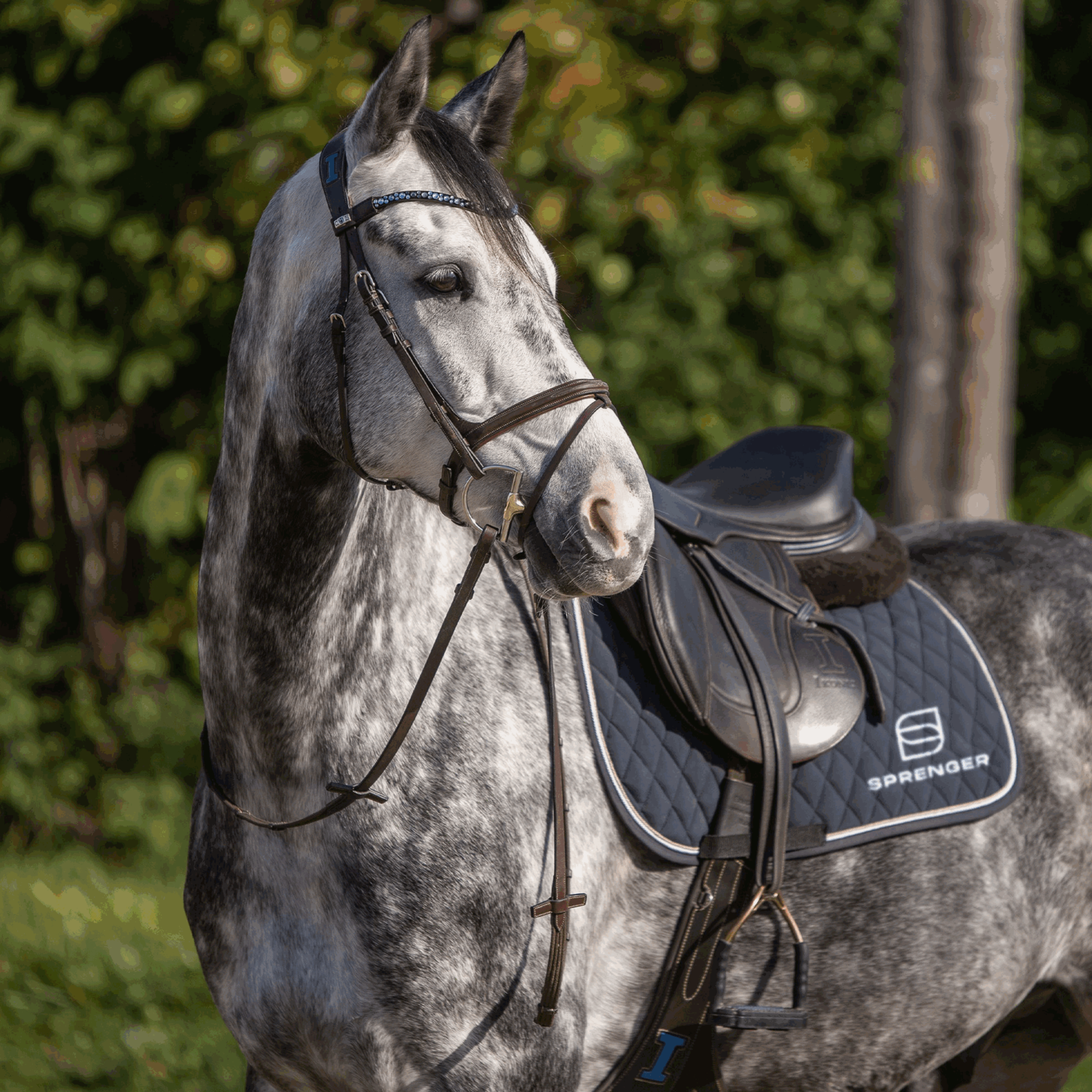 Dynamic RS - Hunter Jumper D-Ring, 14 mm einfach gebrochen