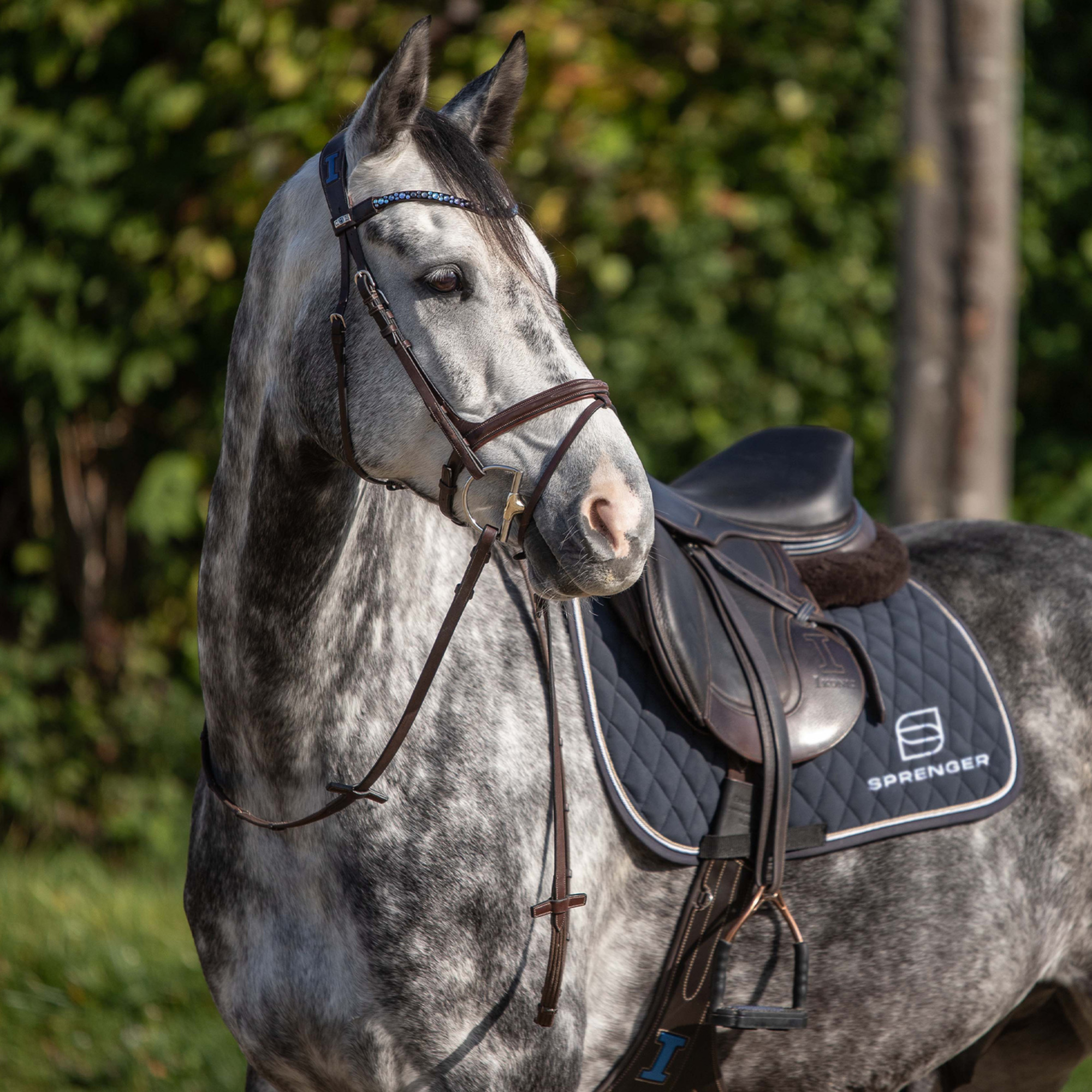 Dynamic RS - Hunter Jumper D-Ring, 14 mm doppelt gebrochen