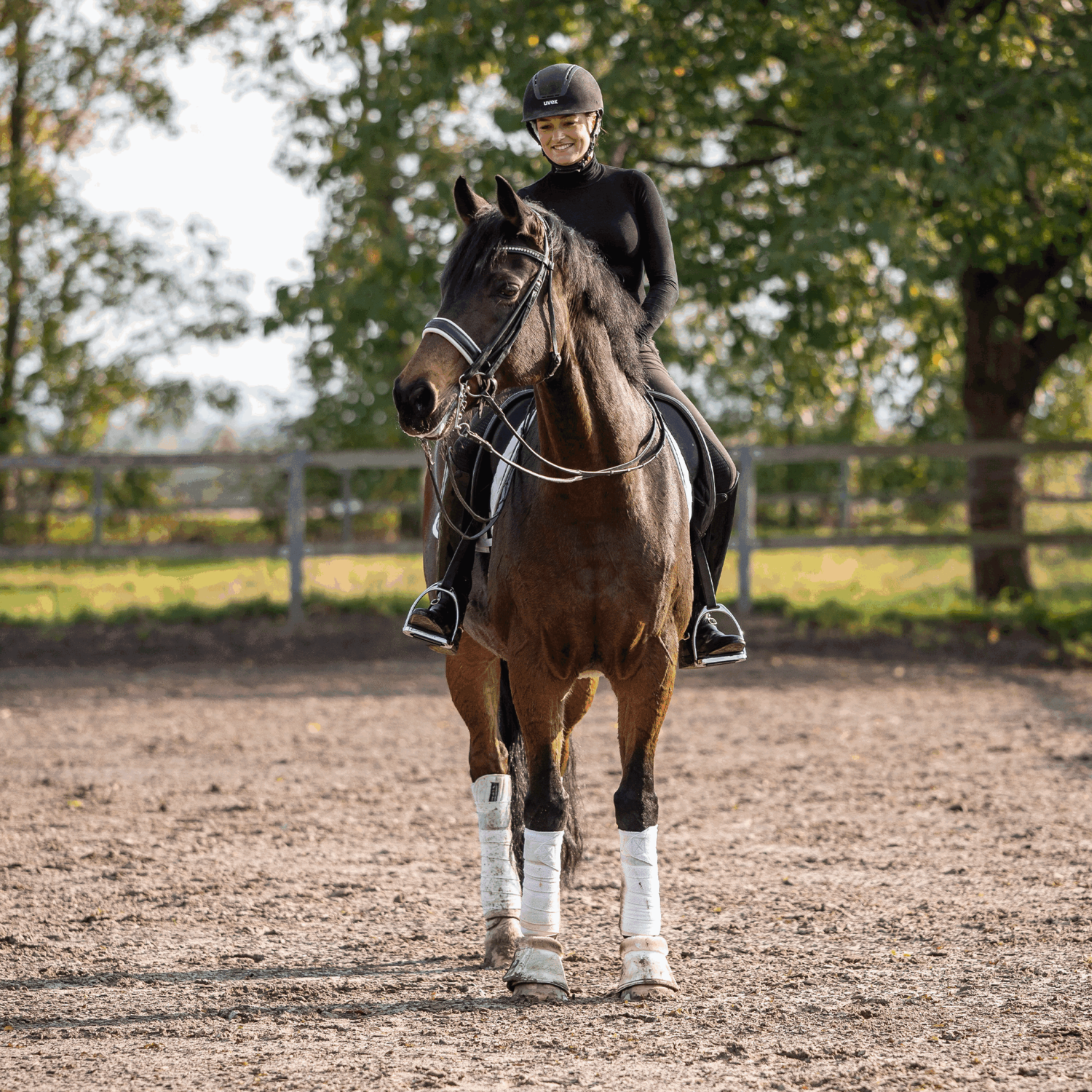 Bemelmans Reitkandare 14 mm - Sensogan, mit drehbaren Seitenteilen