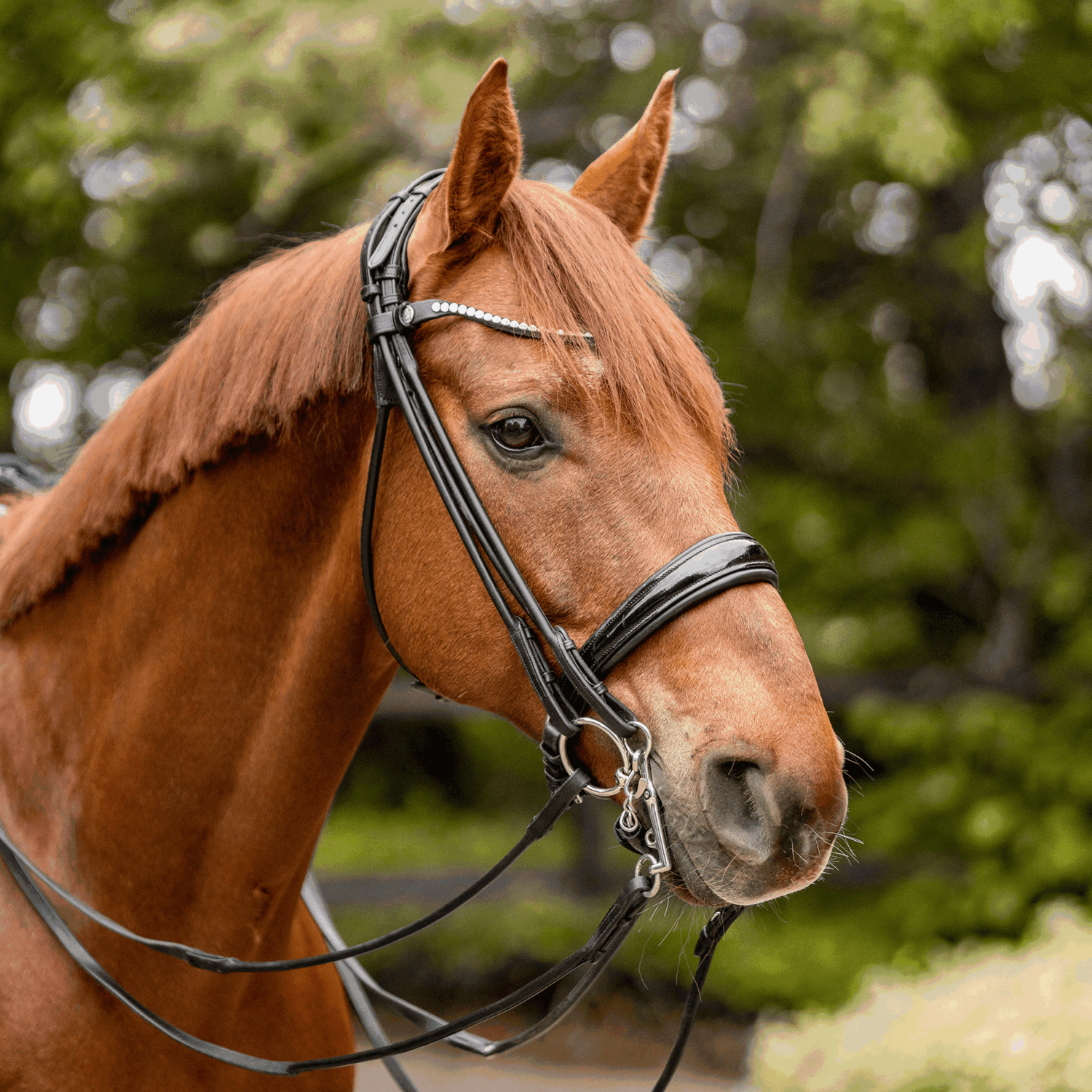 KK ULTRA Unterlegtrense 12 mm - Sensogan